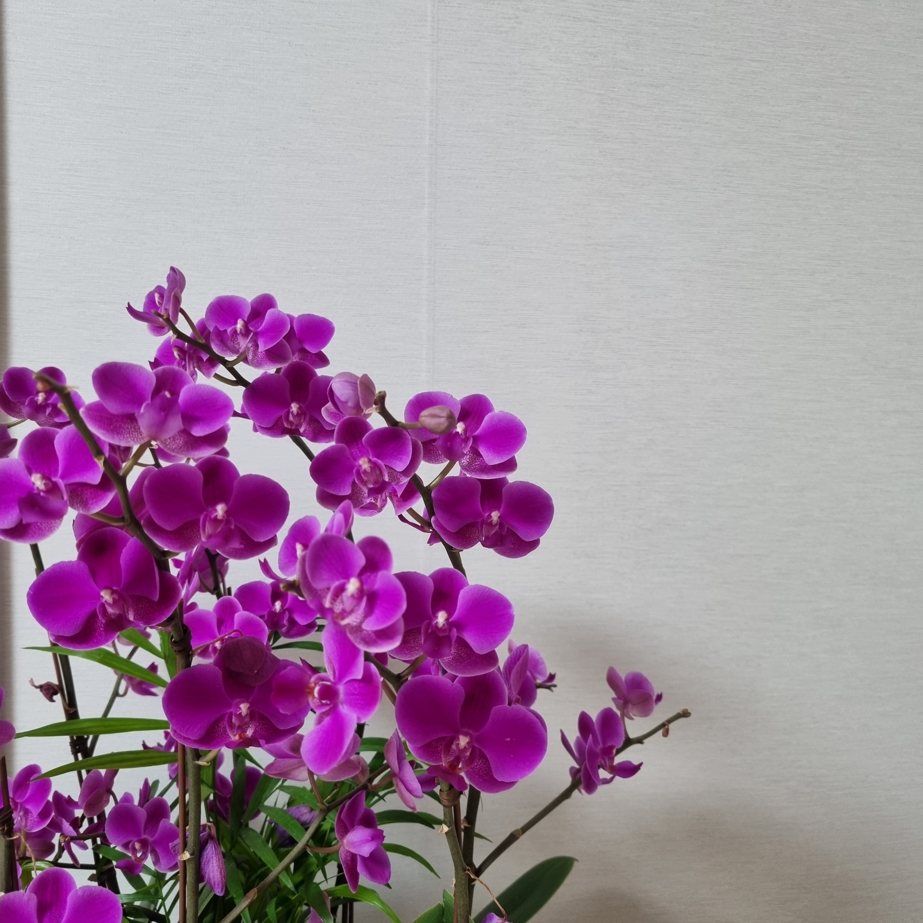 풍류도종로센터 대표 이미지