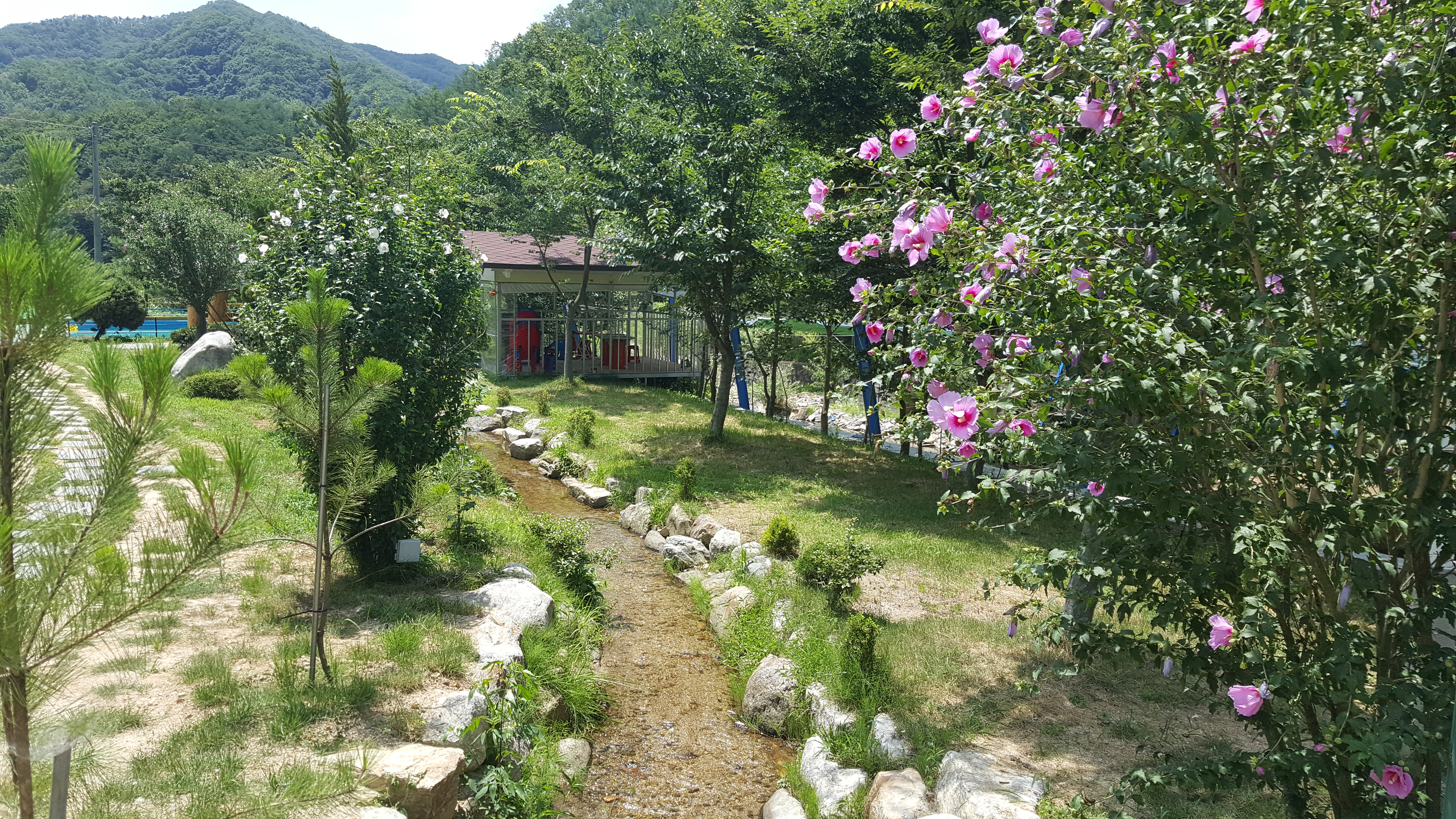 바람재두리펜션 경상 애견숙소