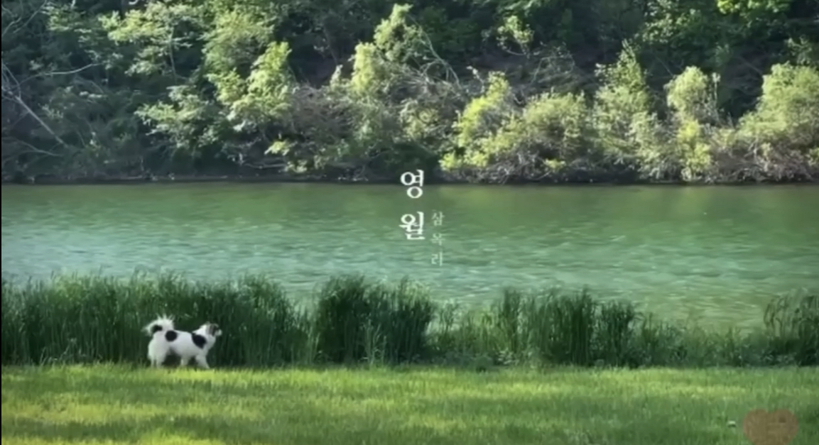 이후북스테이
