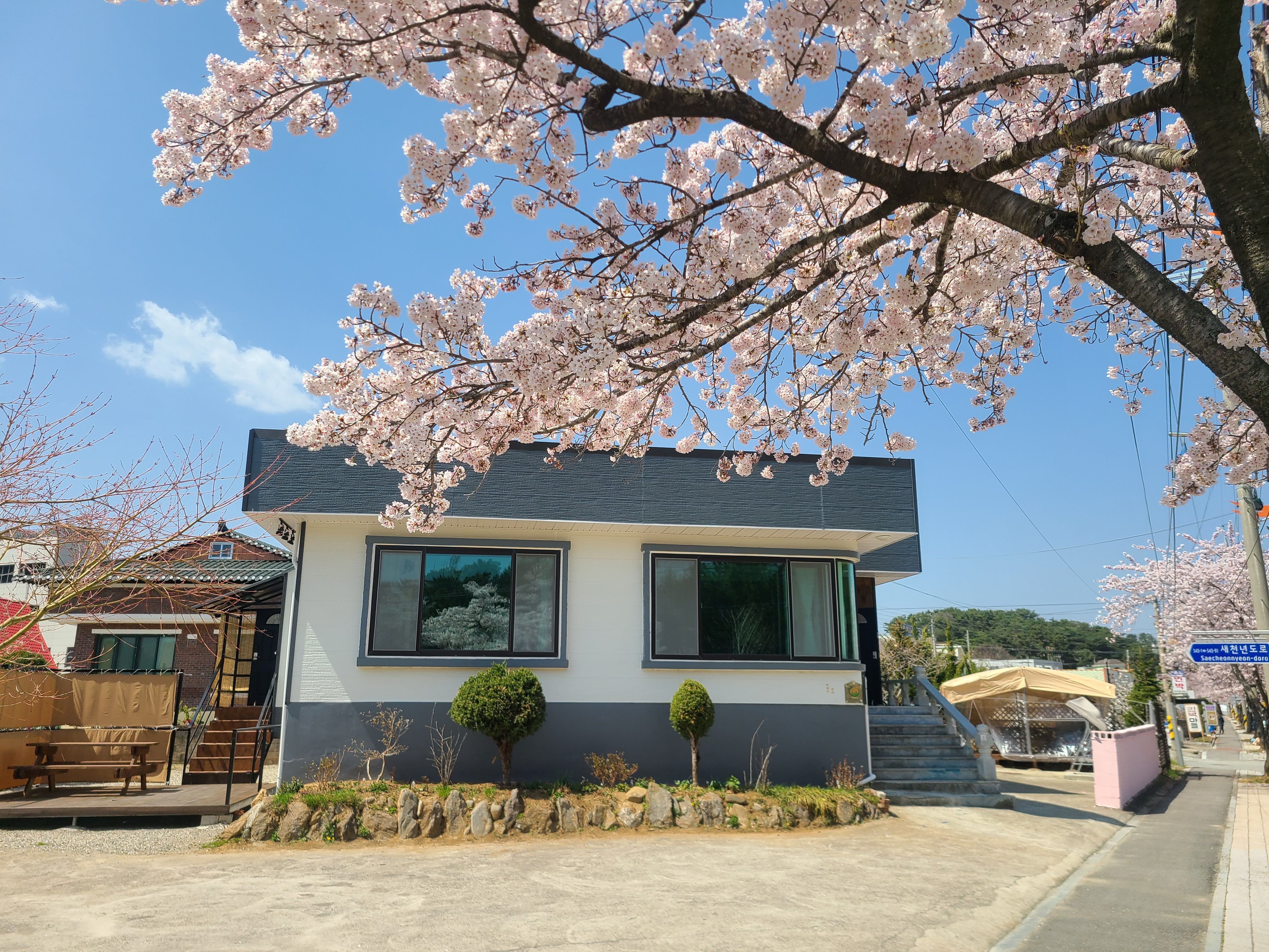 바라던 바다펜션