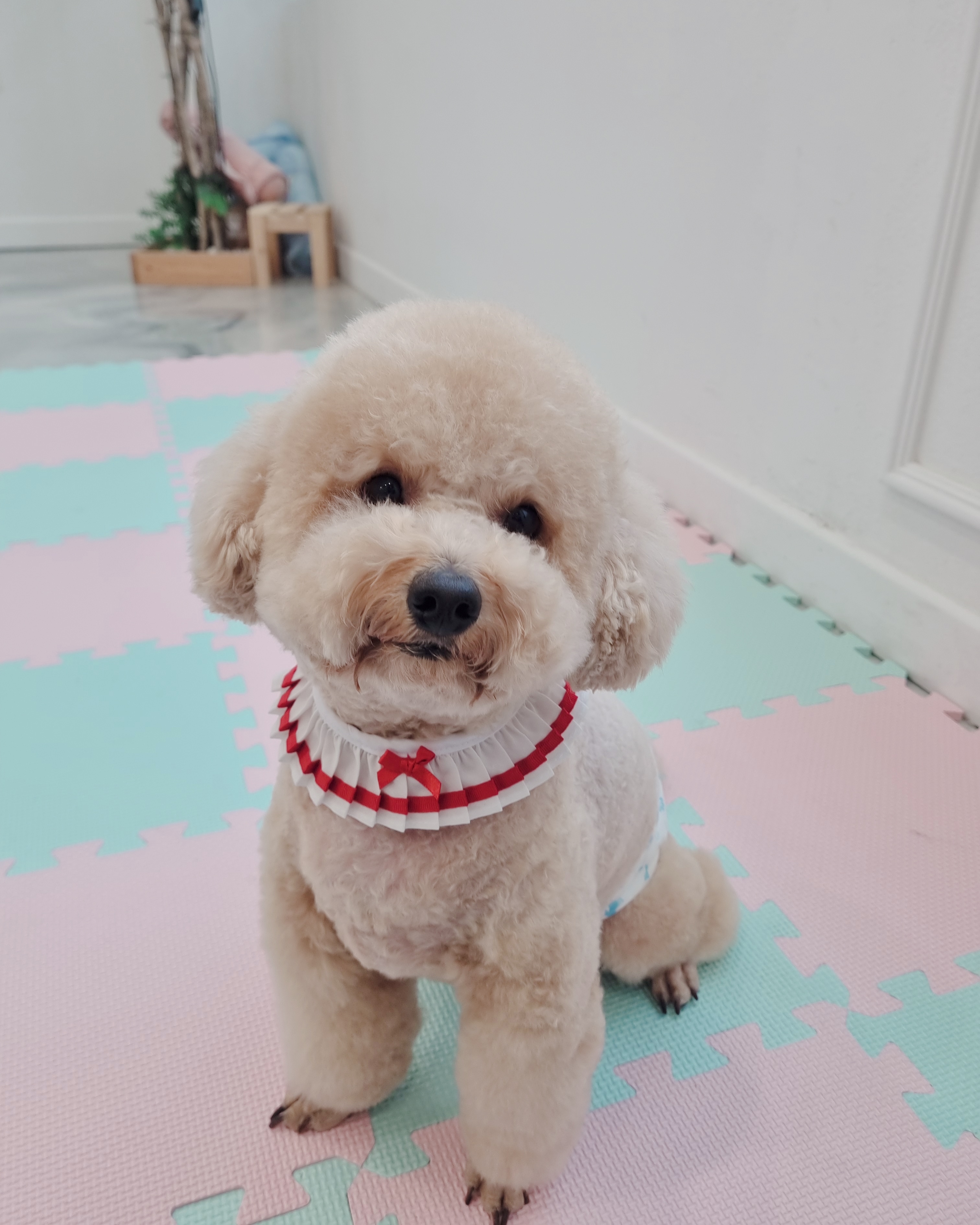 이미지