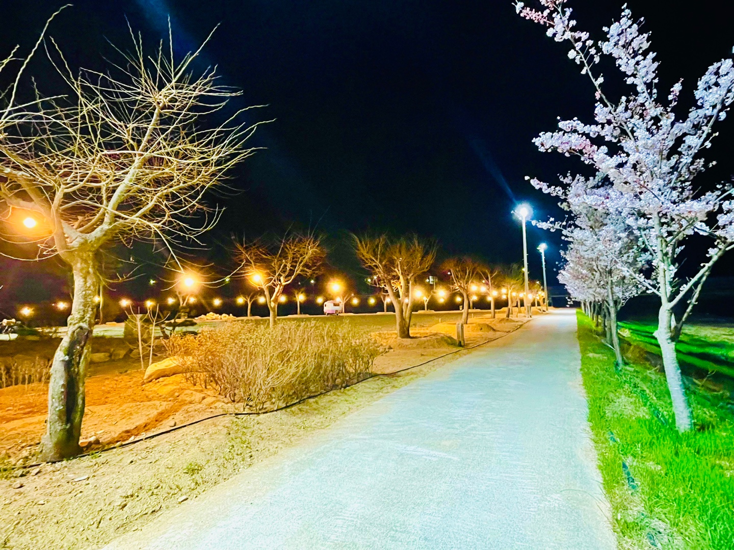 김천국제실내테니스장