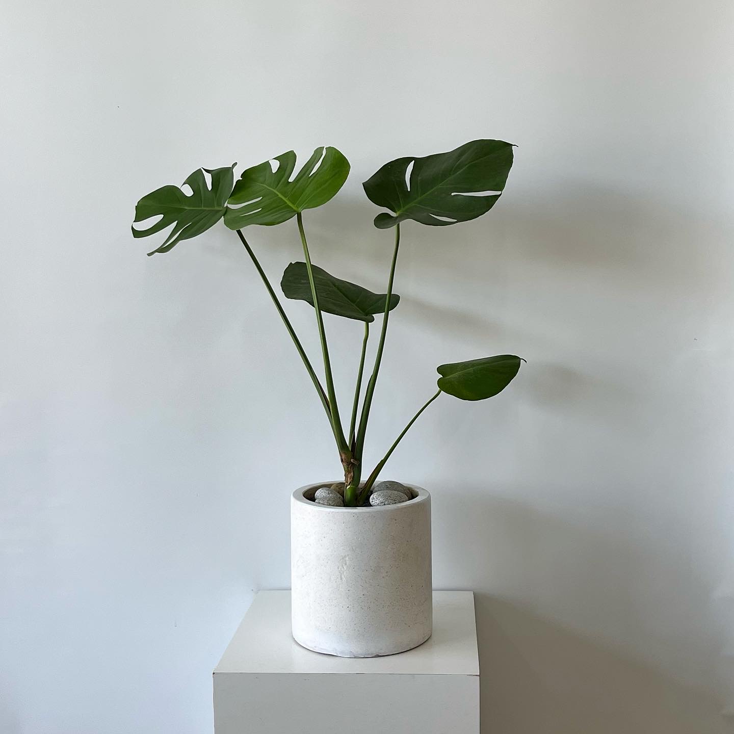 꽃바람화원