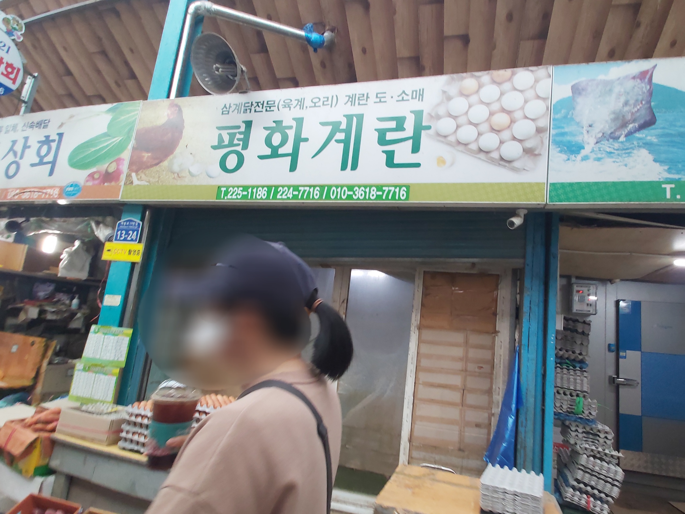 평화계란