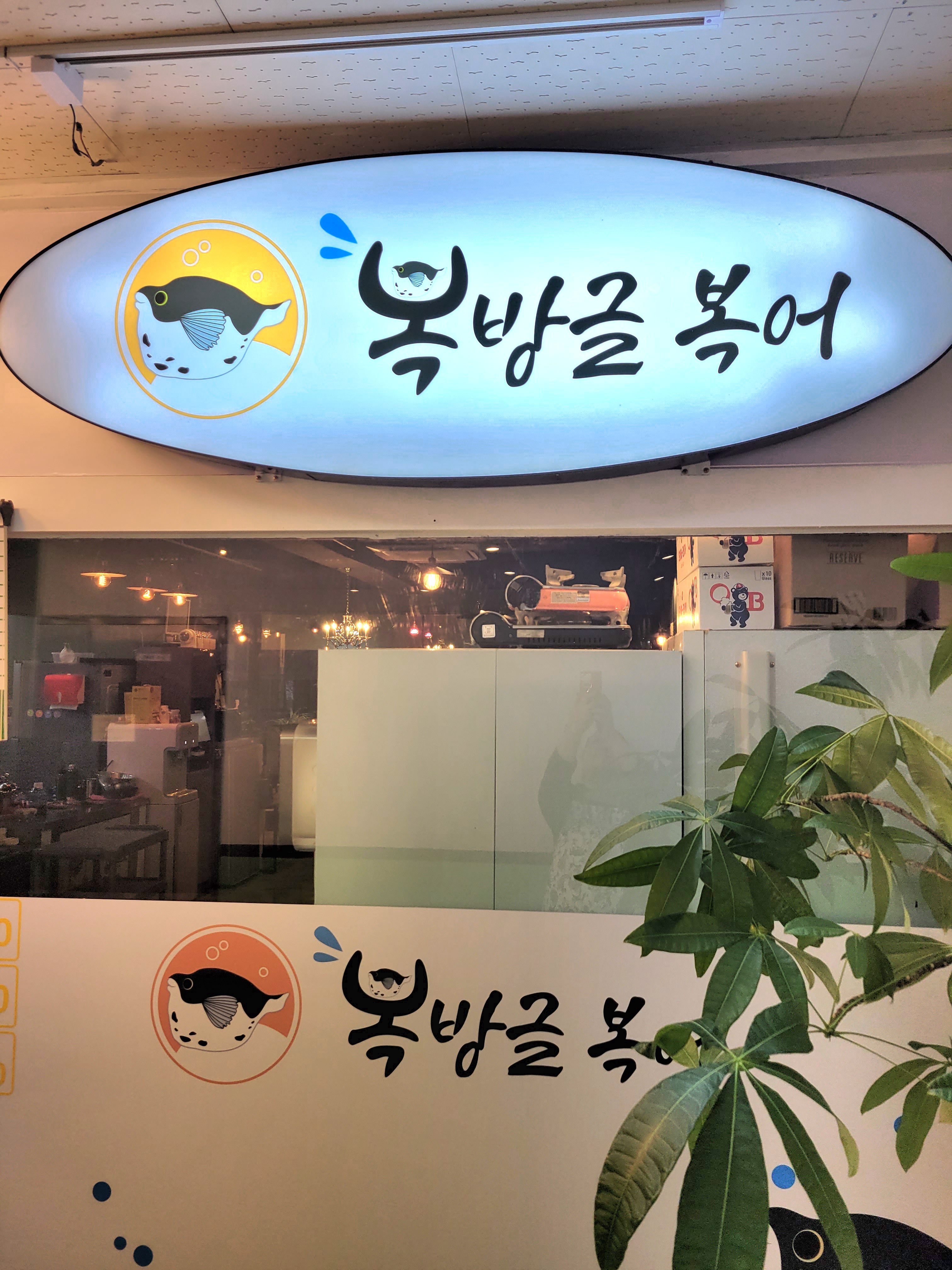 복방글