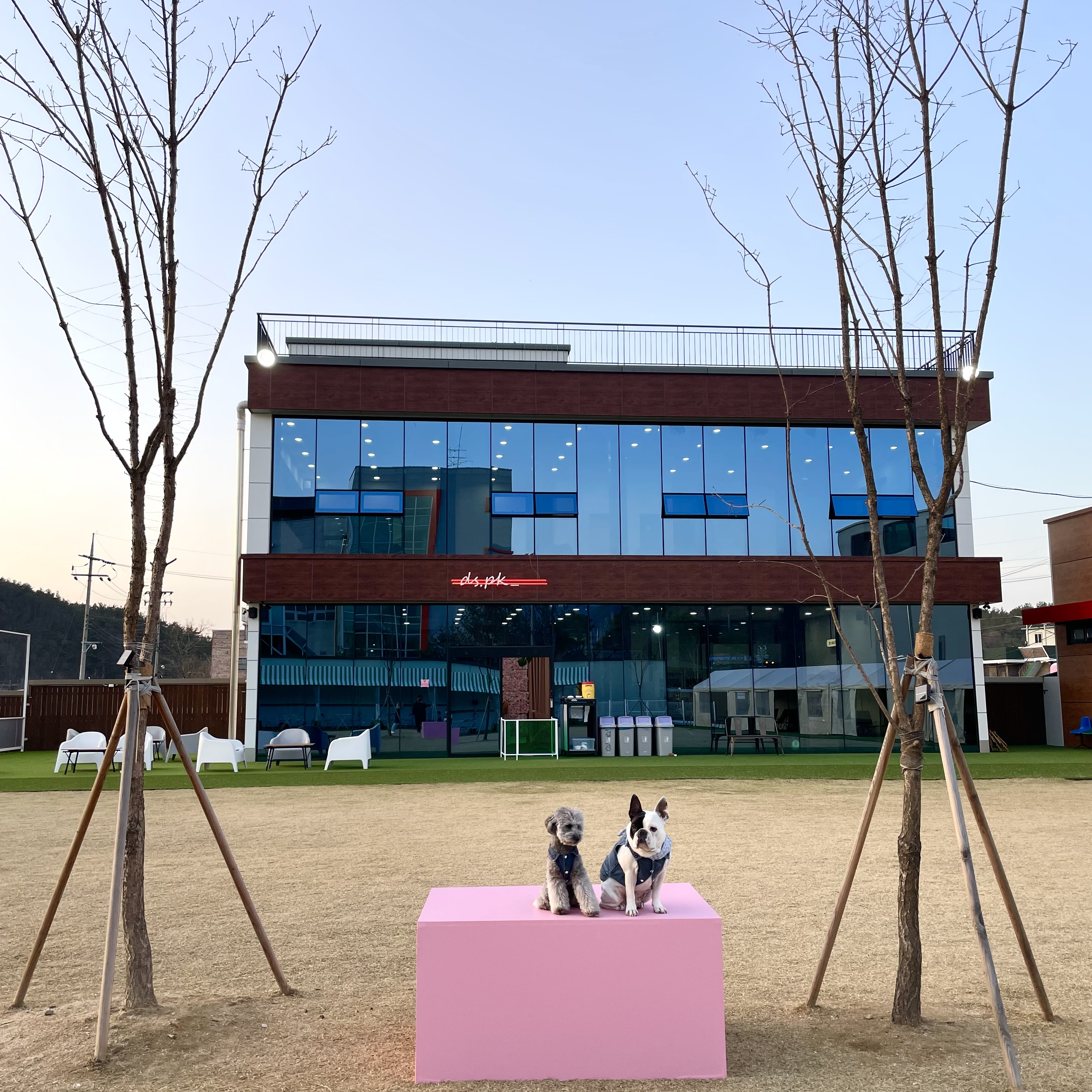 두류댕댕 3
