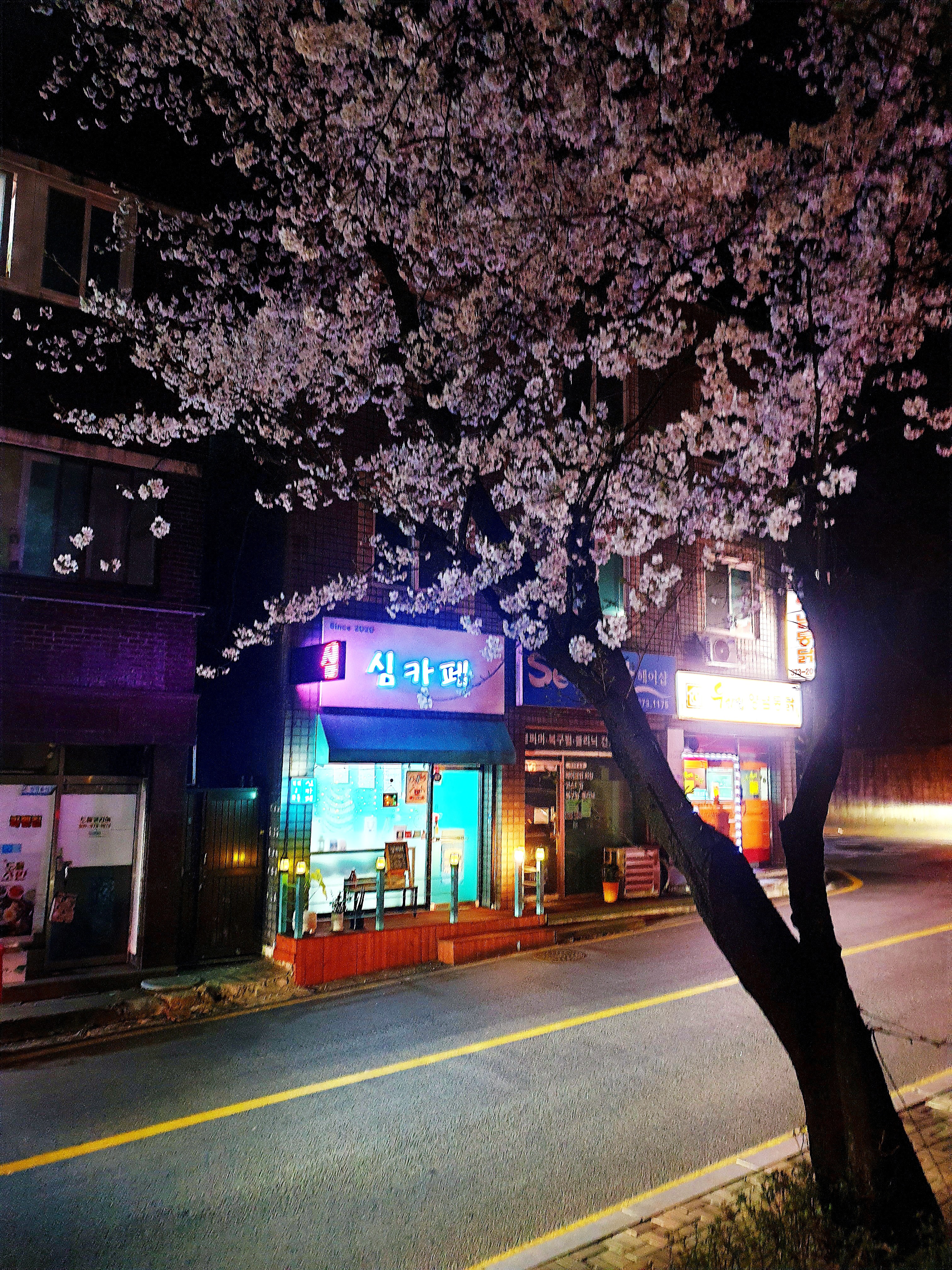 심카페