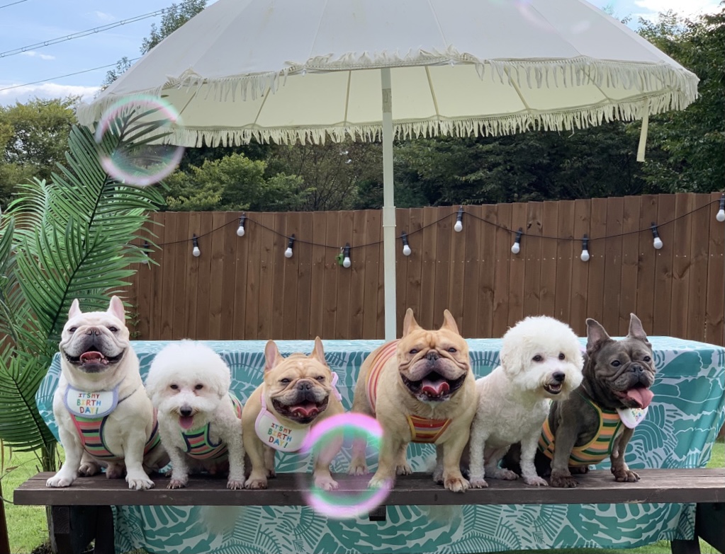 주변 가볼만한 곳