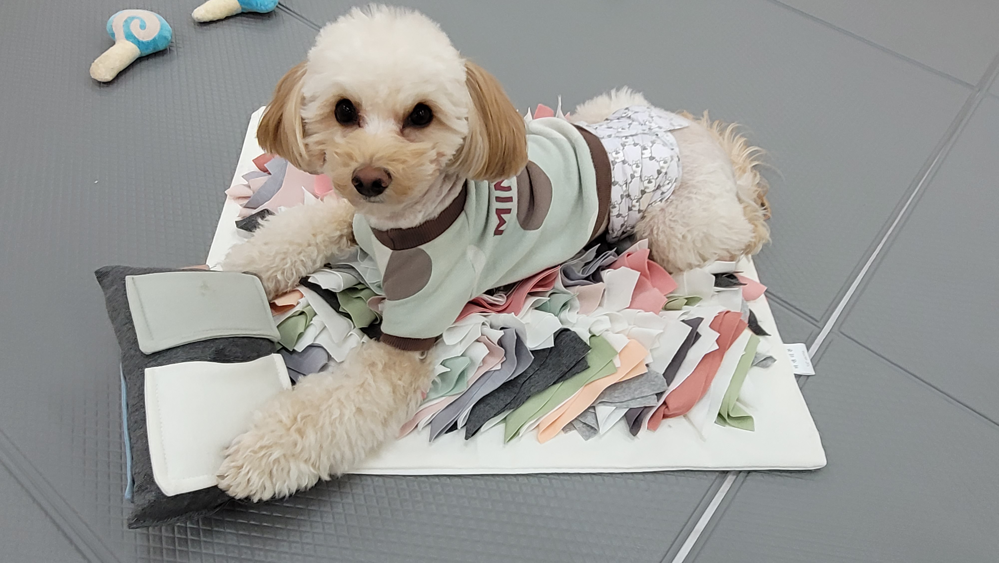 이미지