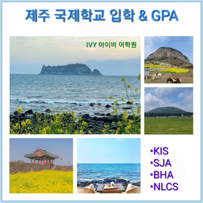 IVY 아이비어학원 대표 이미지