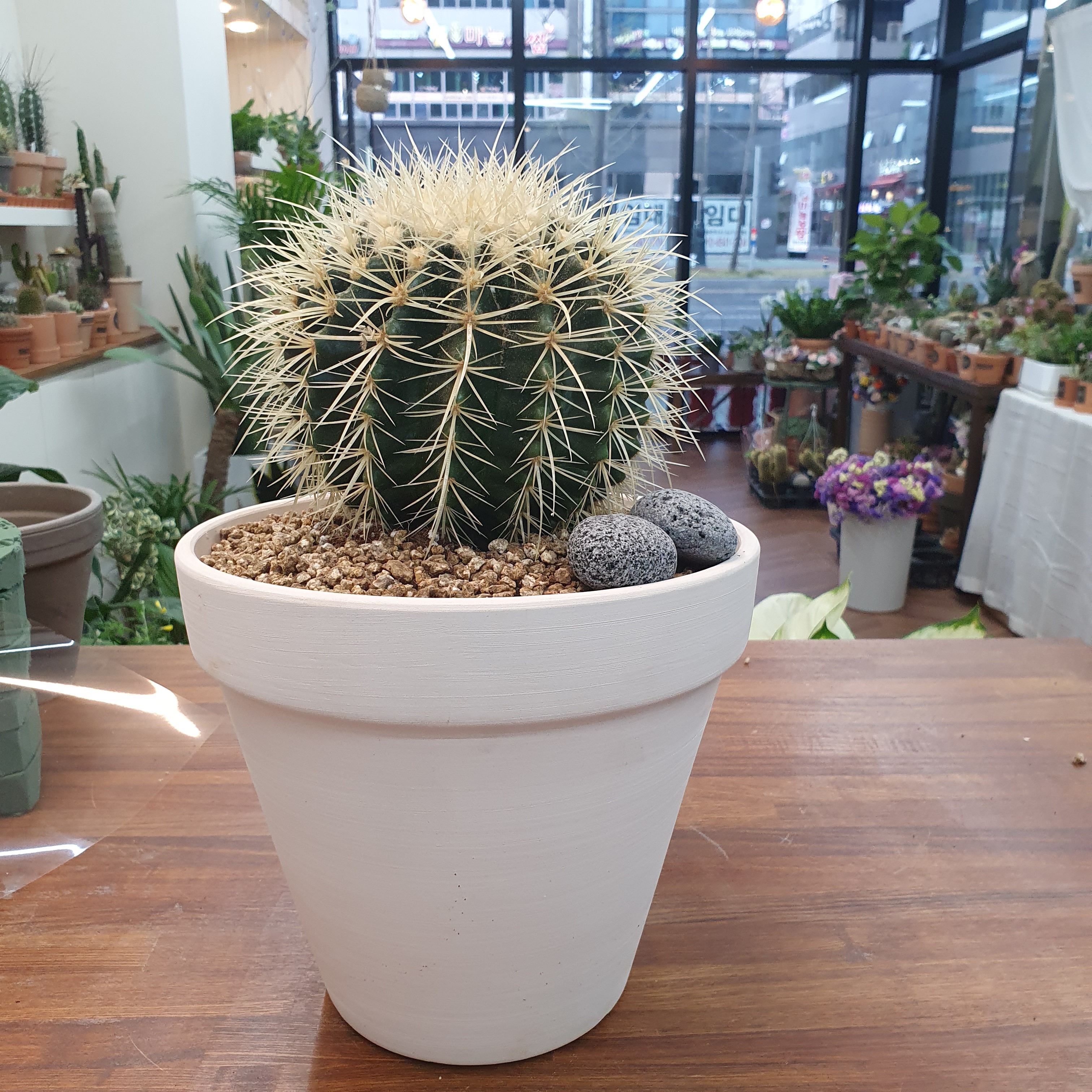 꽃bflower