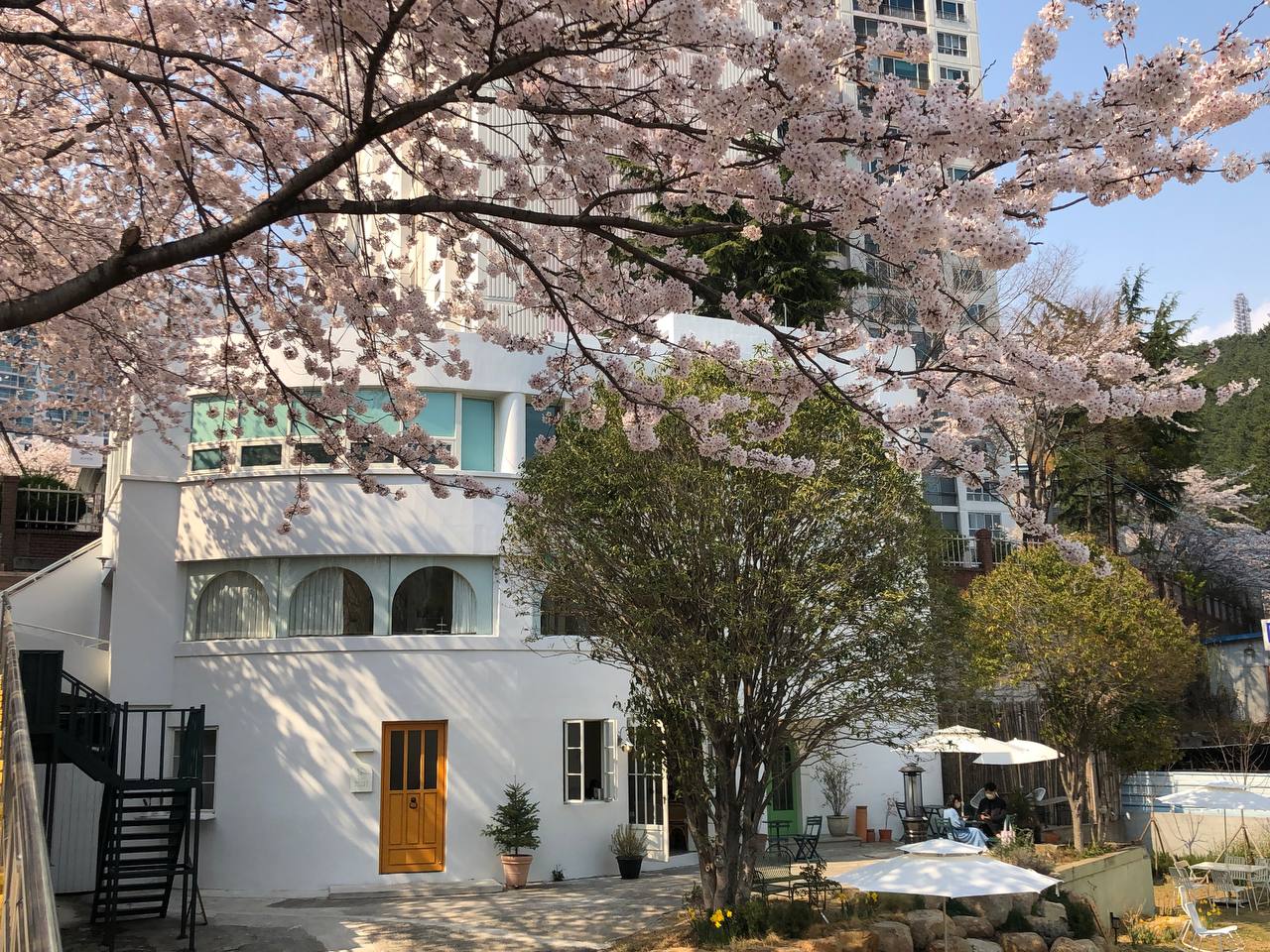 듀스포레