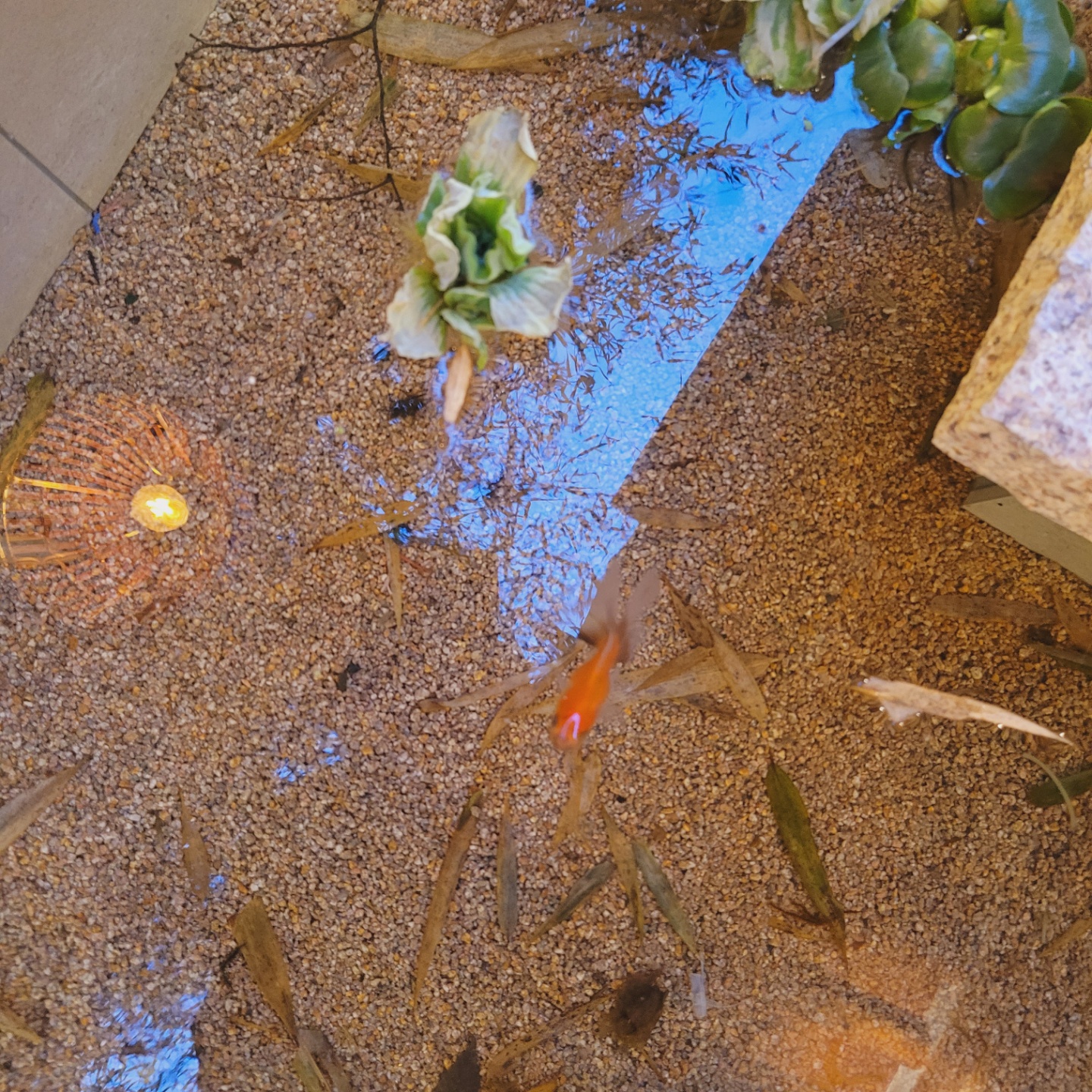 신라제면 대표 이미지