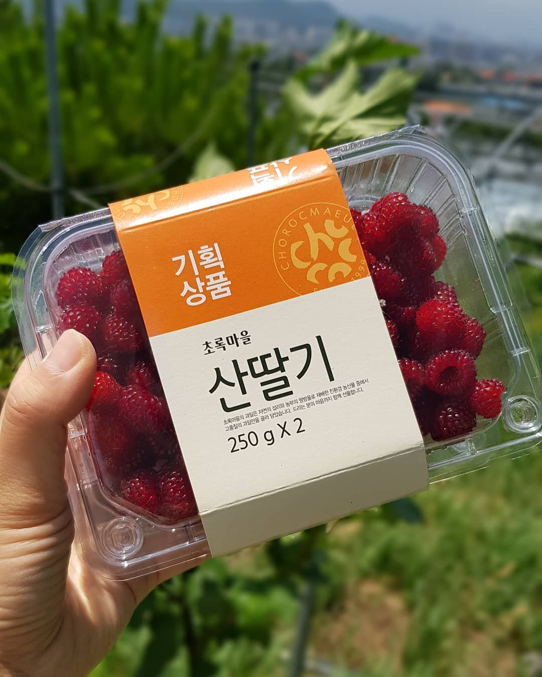 별그린농원