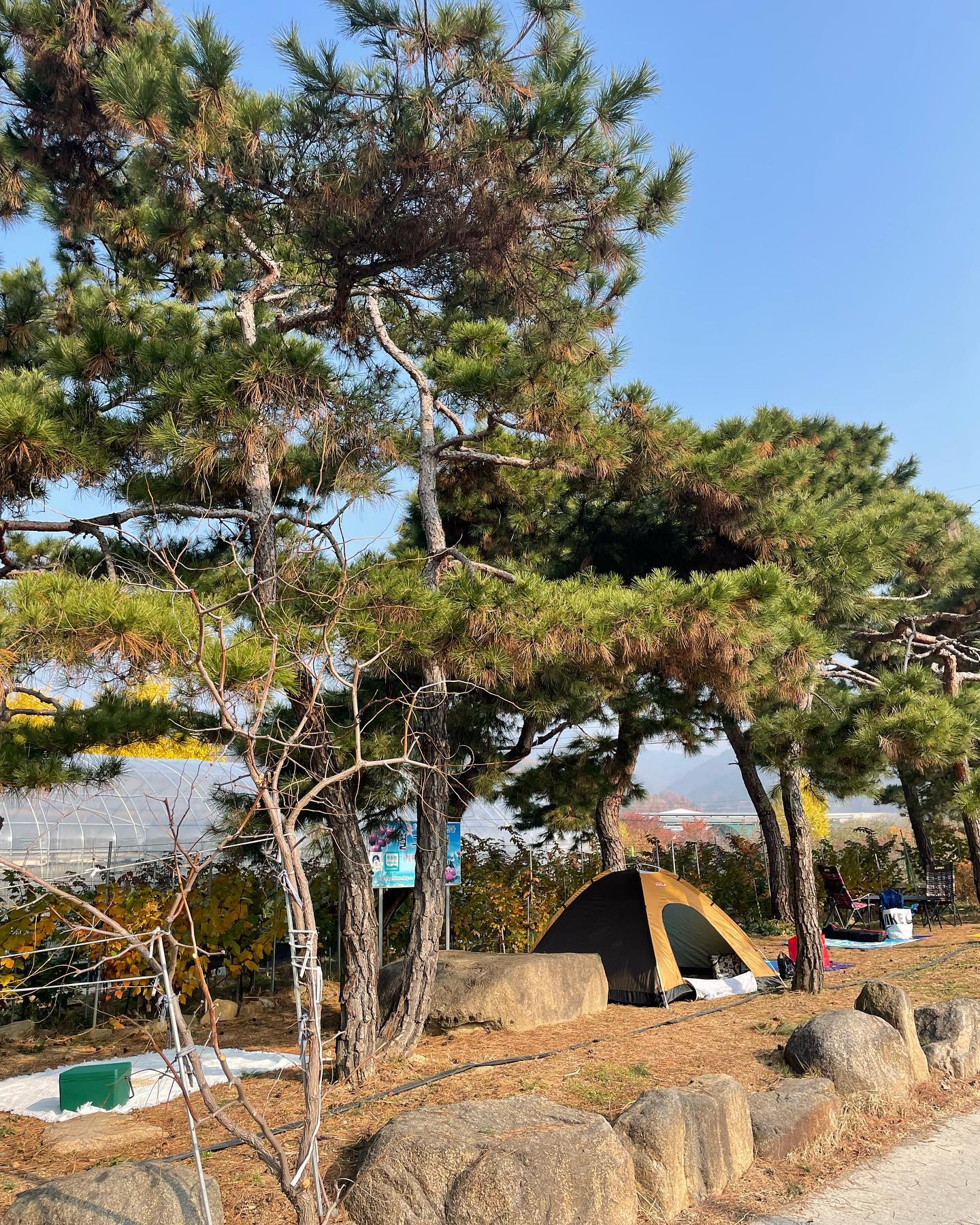 별그린농원