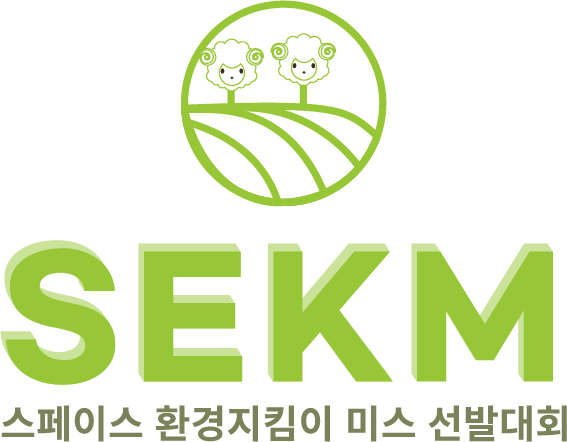 국제청년기업코리아