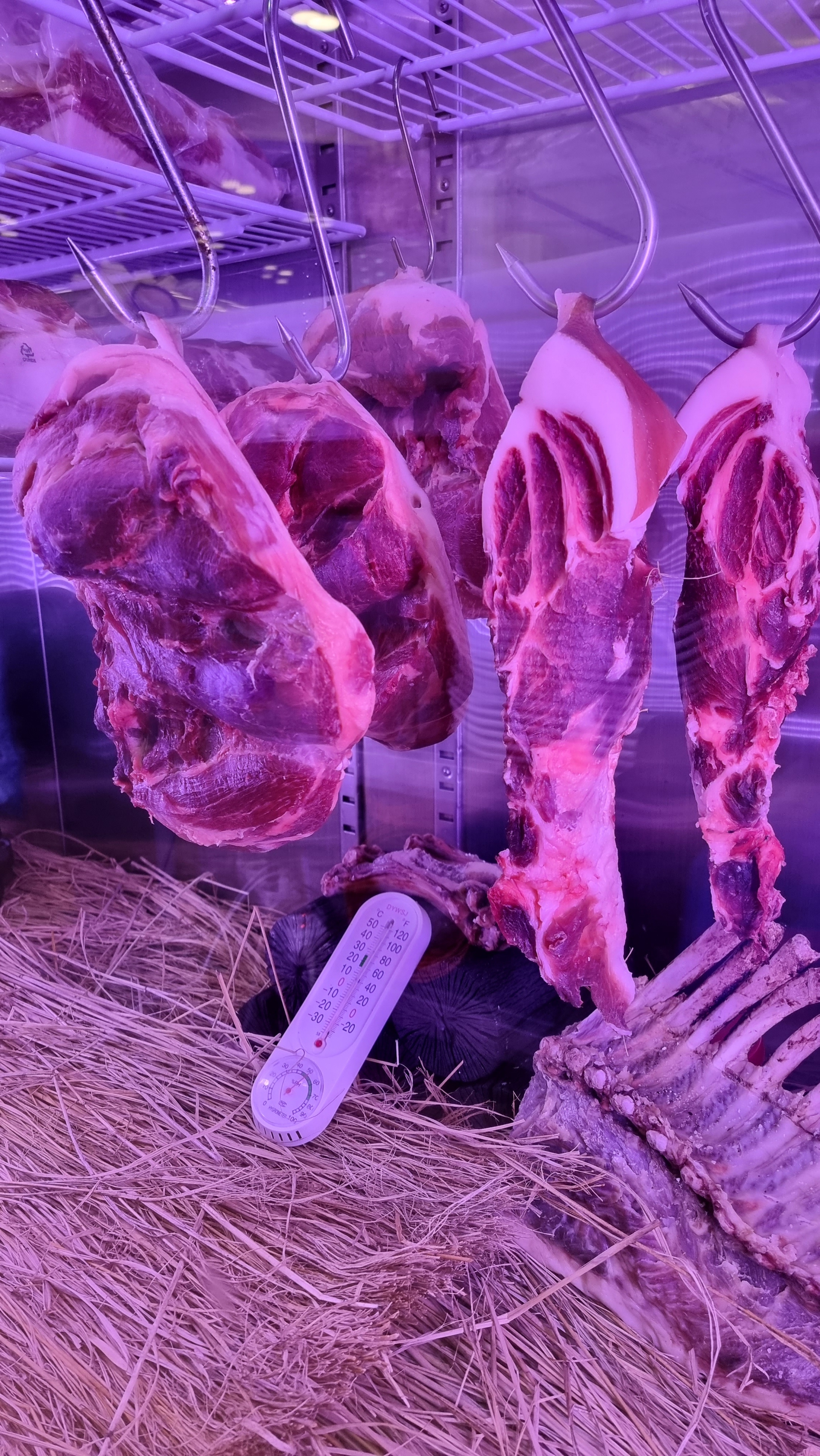 두꺼비정육식당