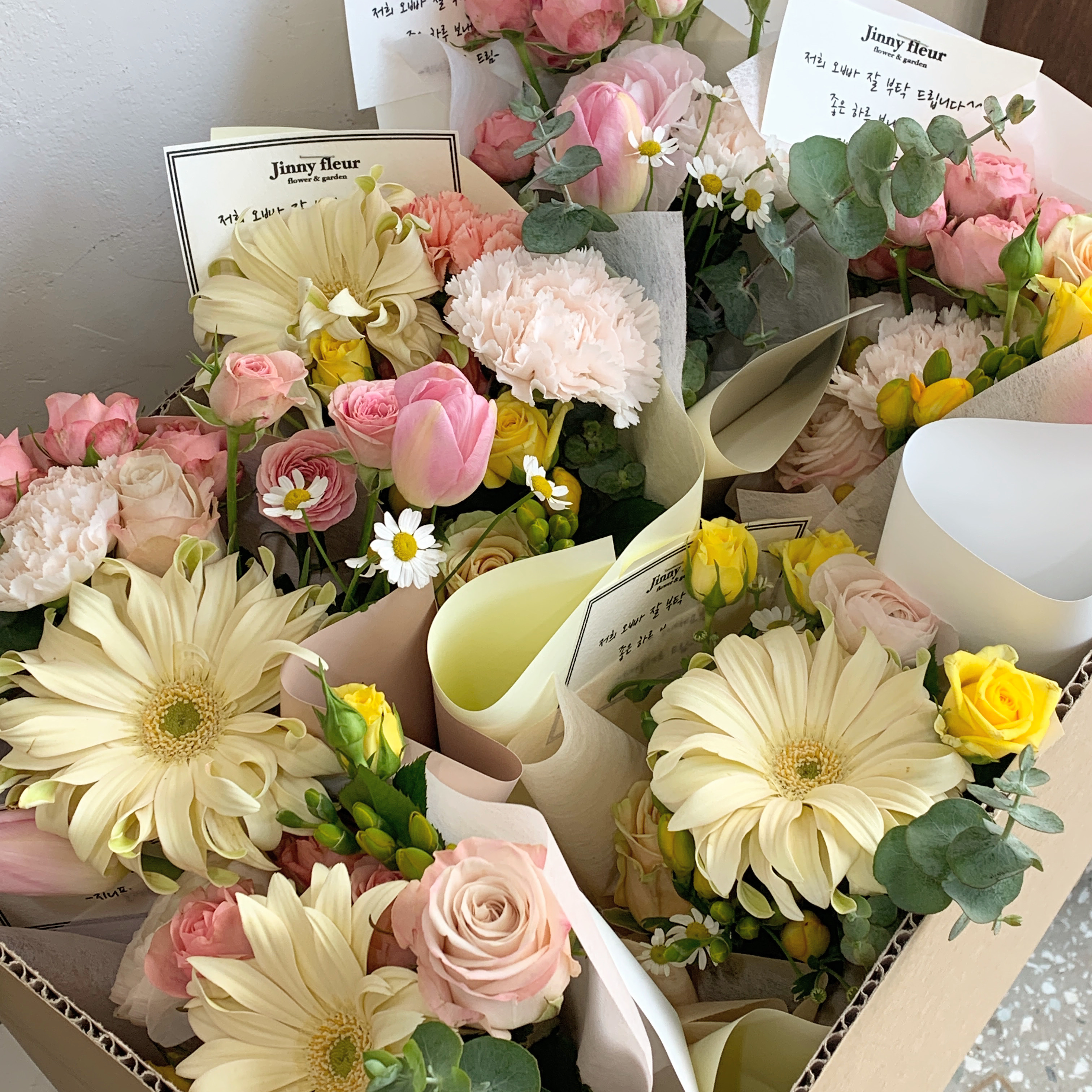 지니플레르