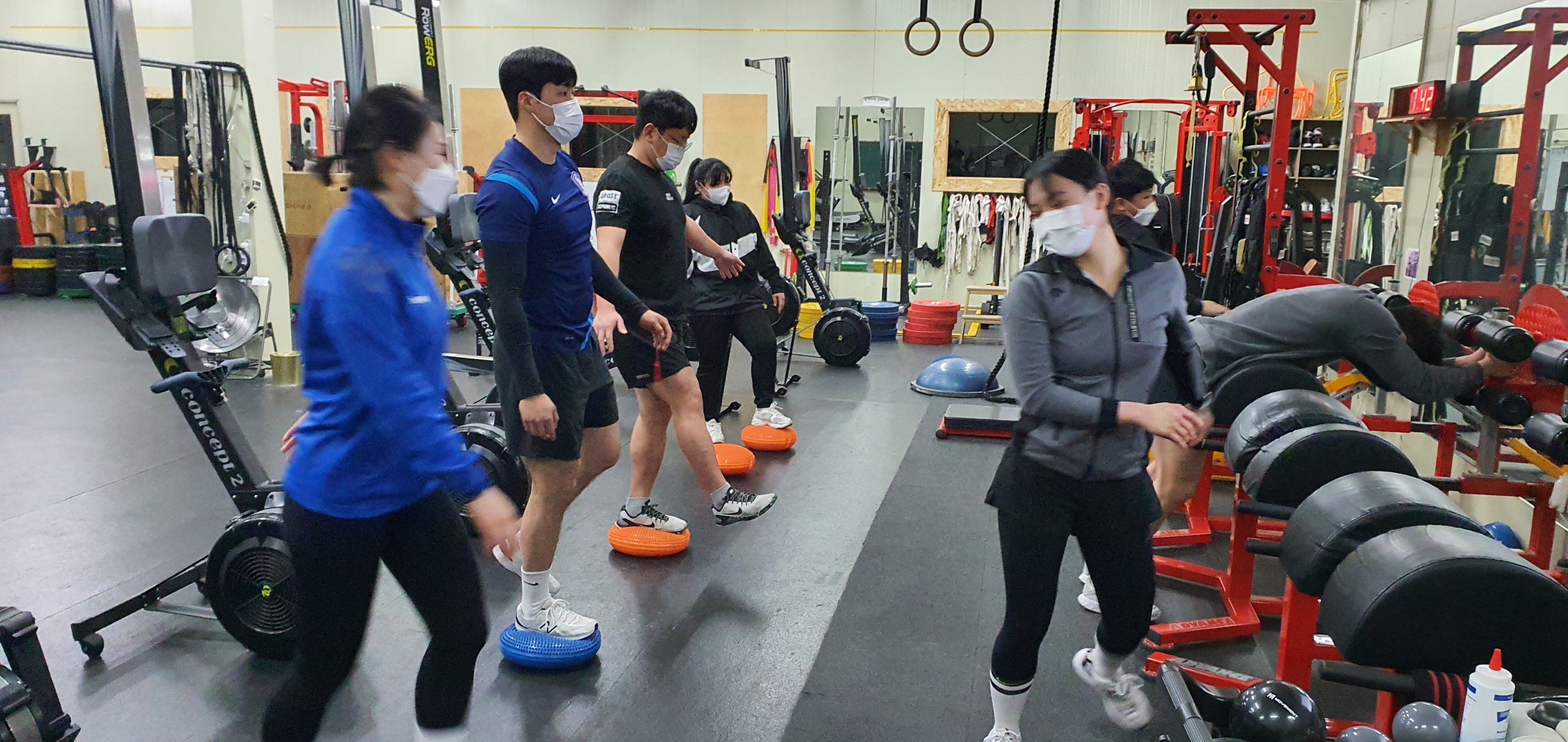 크로스핏&피트니스 아놀드짐