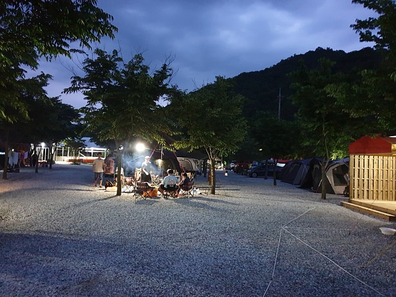 원주웰빙캠프