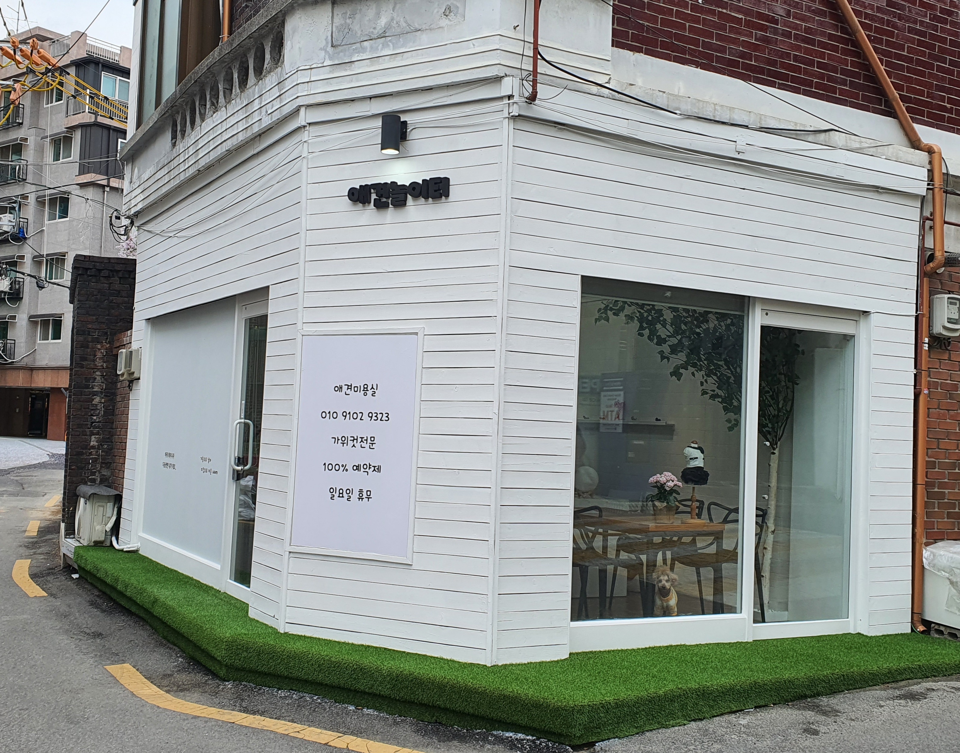 애견놀이터 대표 이미지
