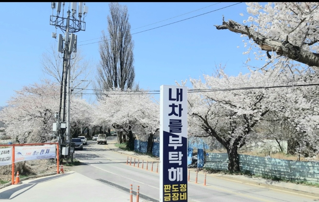 내 차를 부탁해