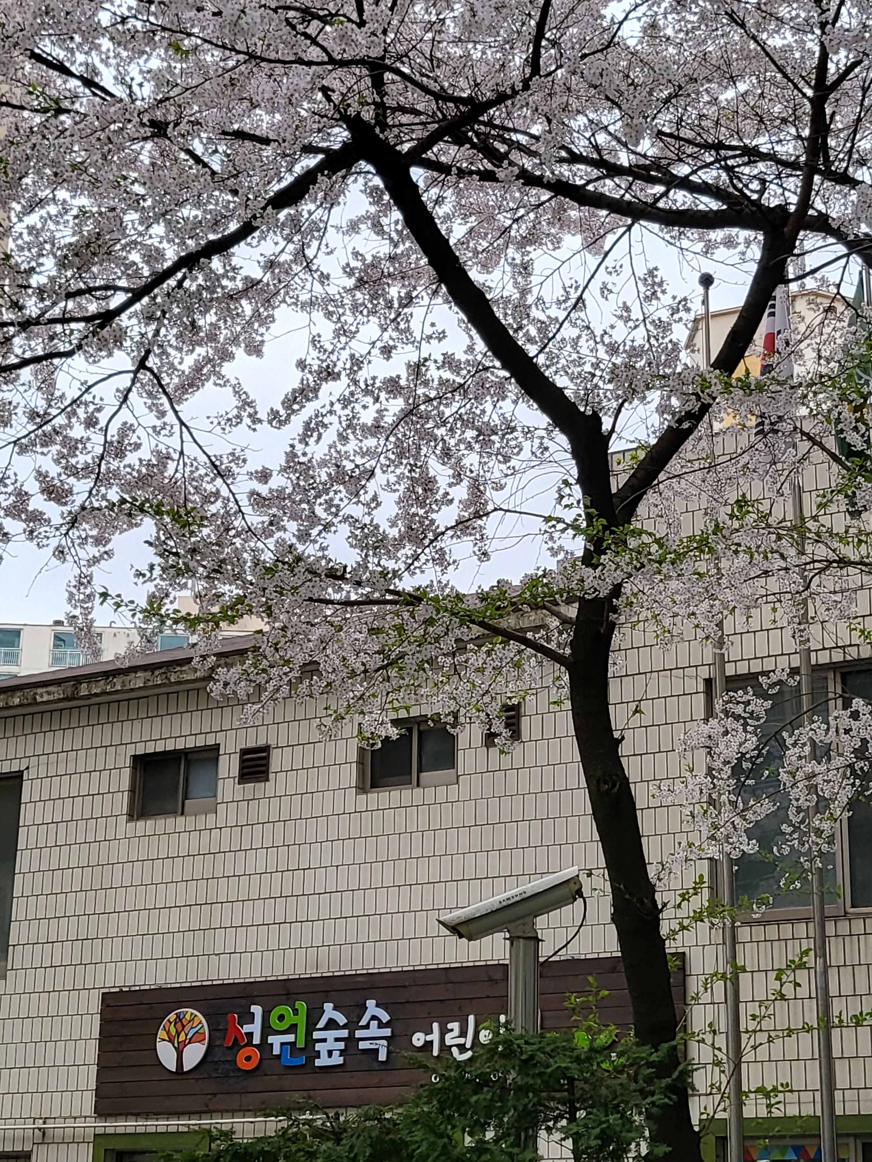성원숲속어린이집