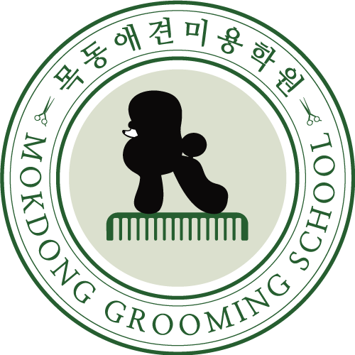 목동애견미용학원