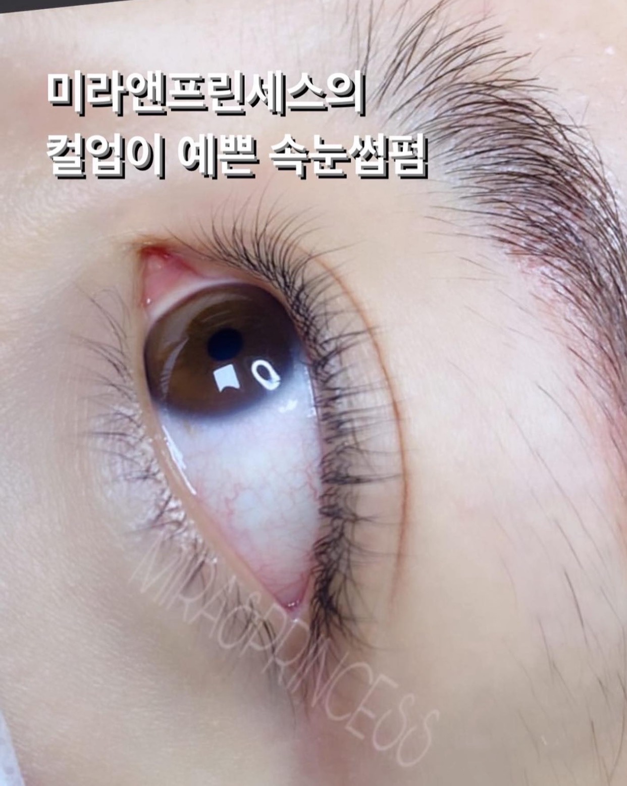 신논현속눈썹 미라앤프린세스 강남점