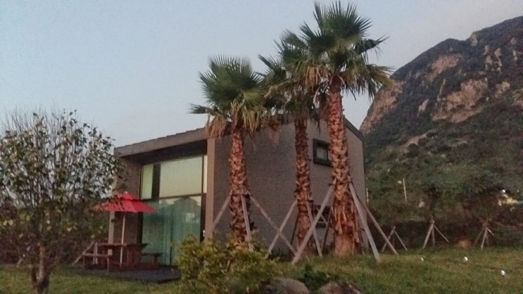 힐빙인제주