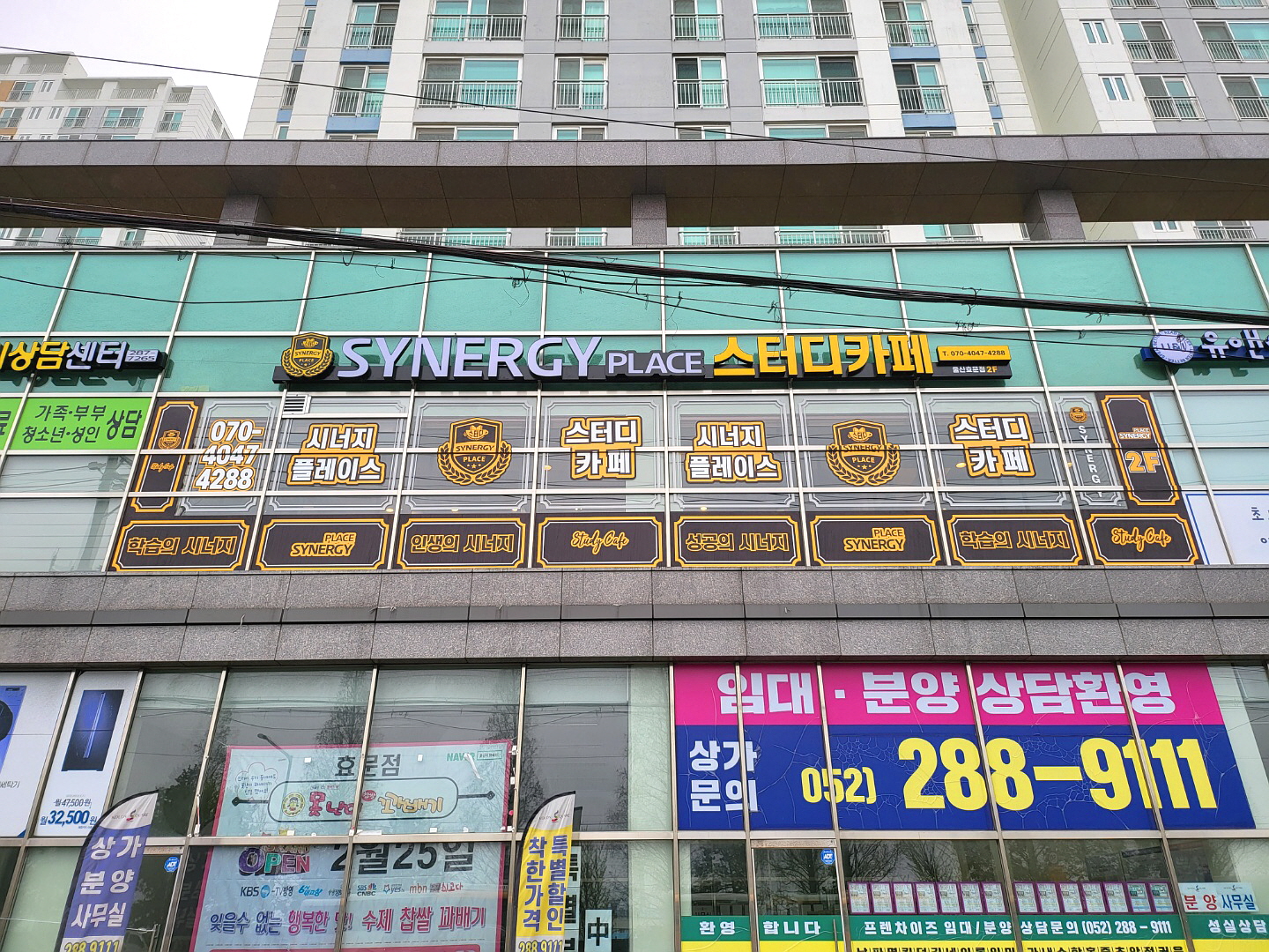 업체사진
