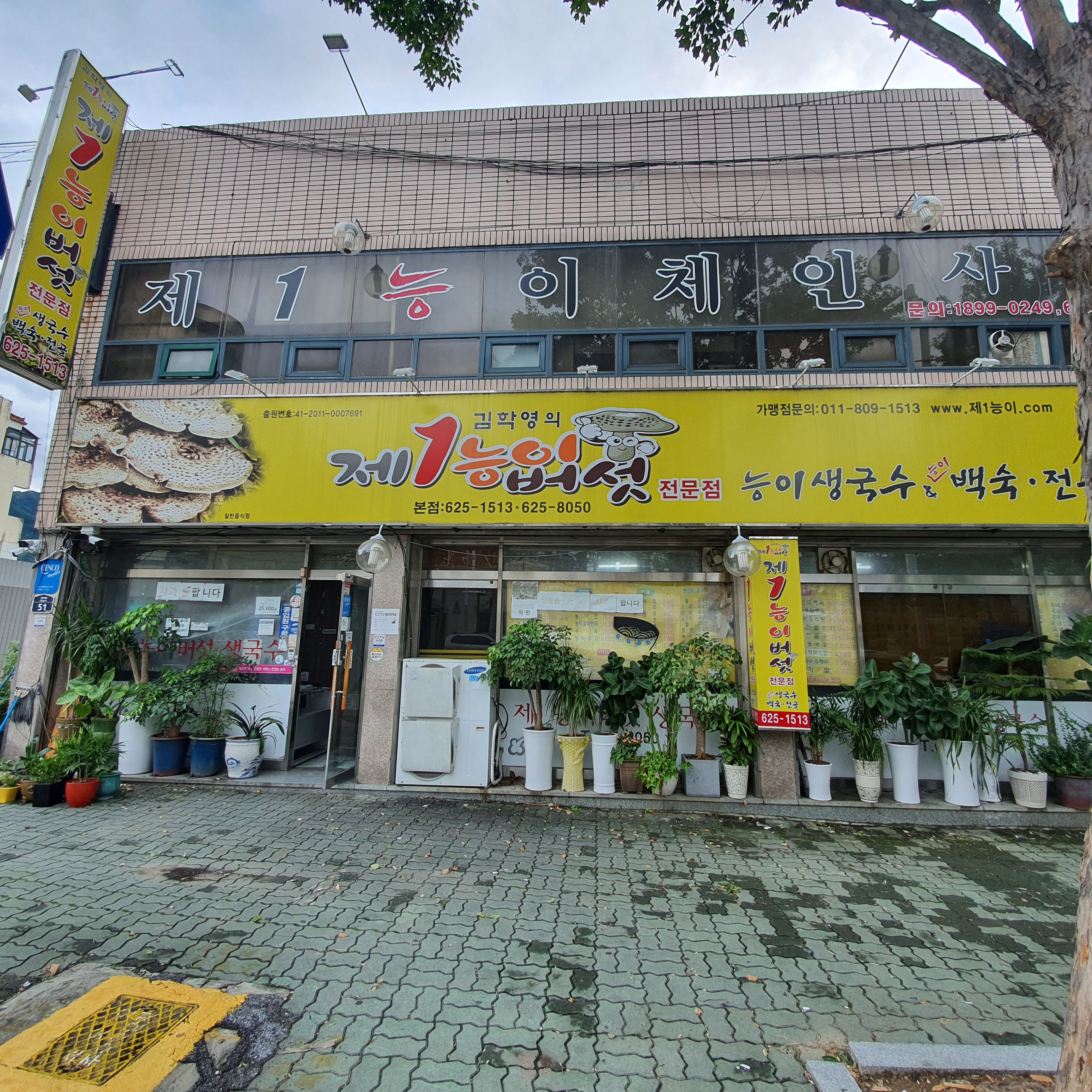 성당동 제1능이버섯생국수 본점
