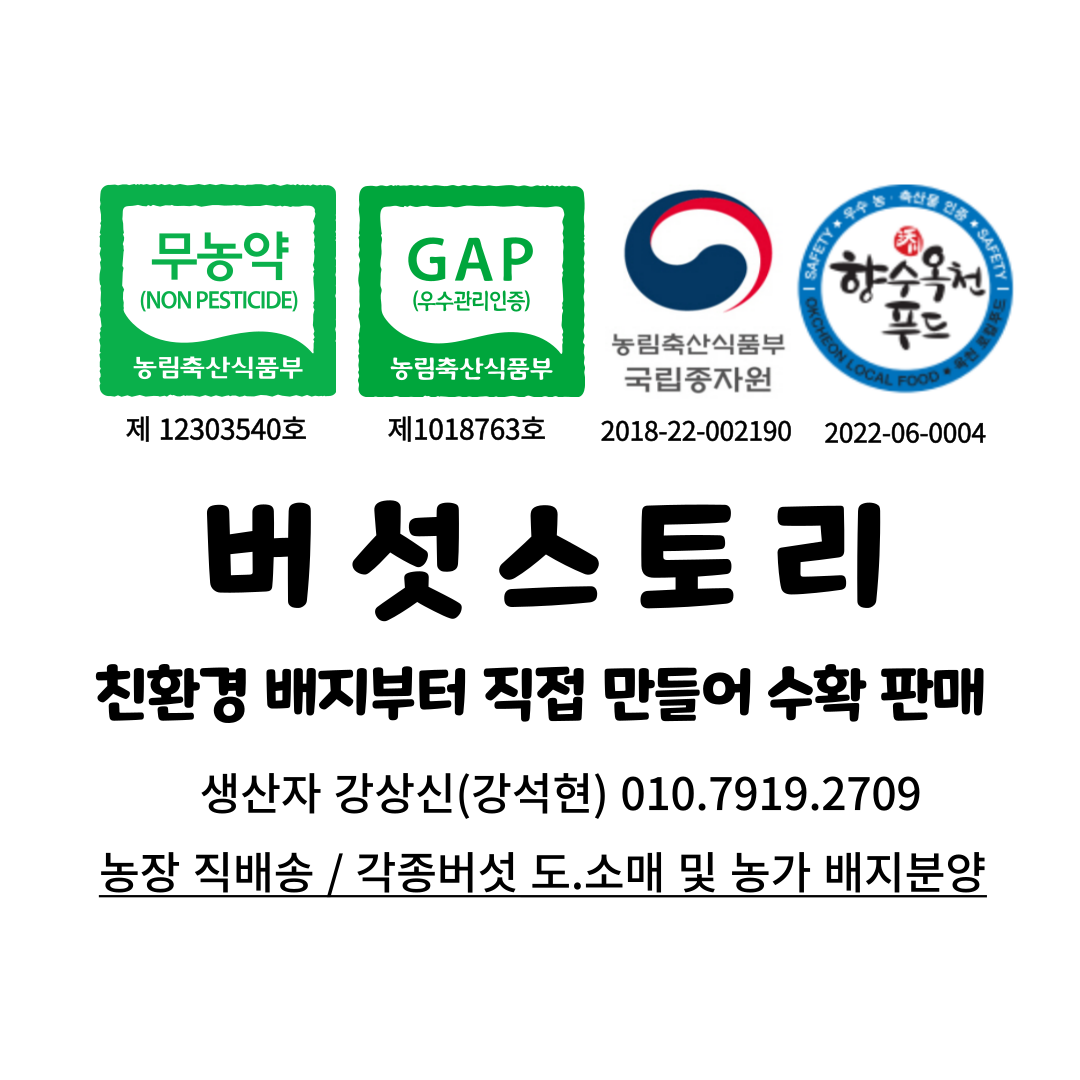 버섯스토리 제 2 농장