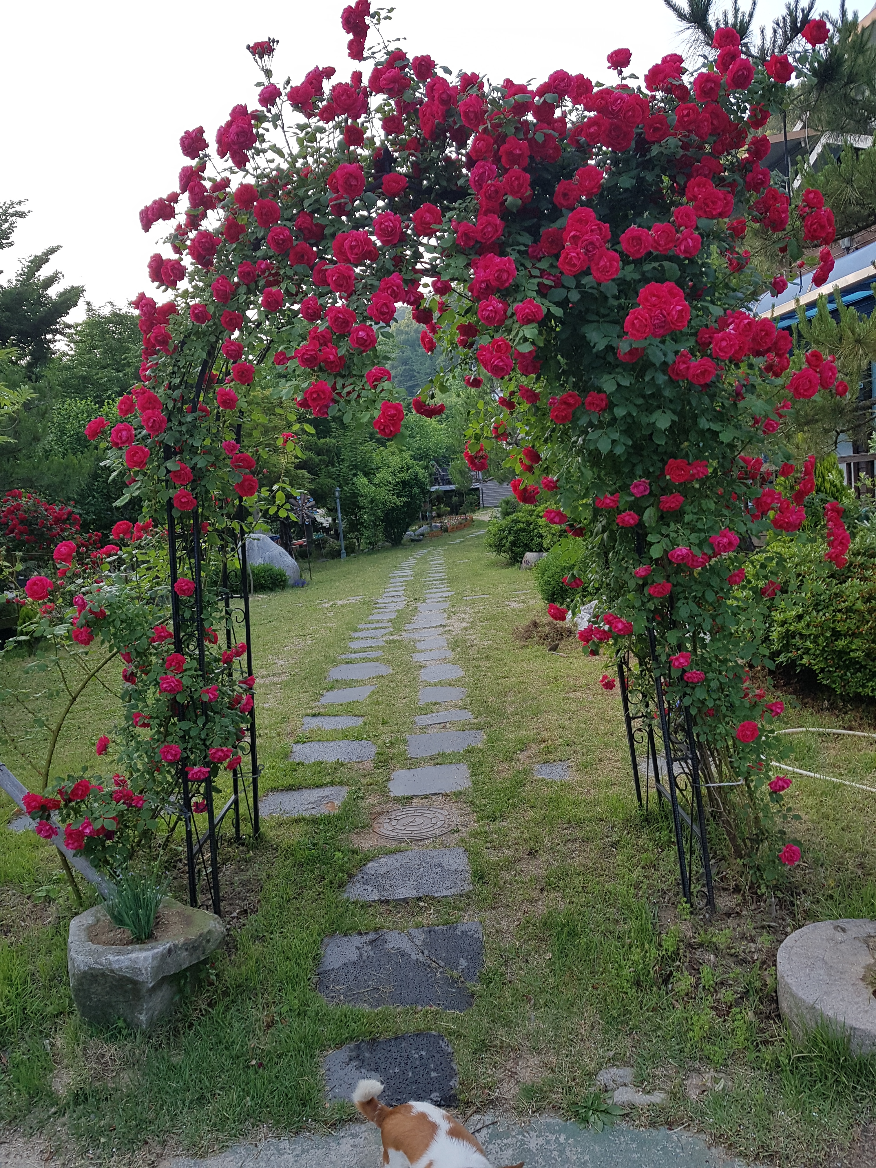 바람재두리펜션 3