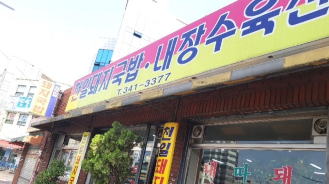 천일돼지국밥