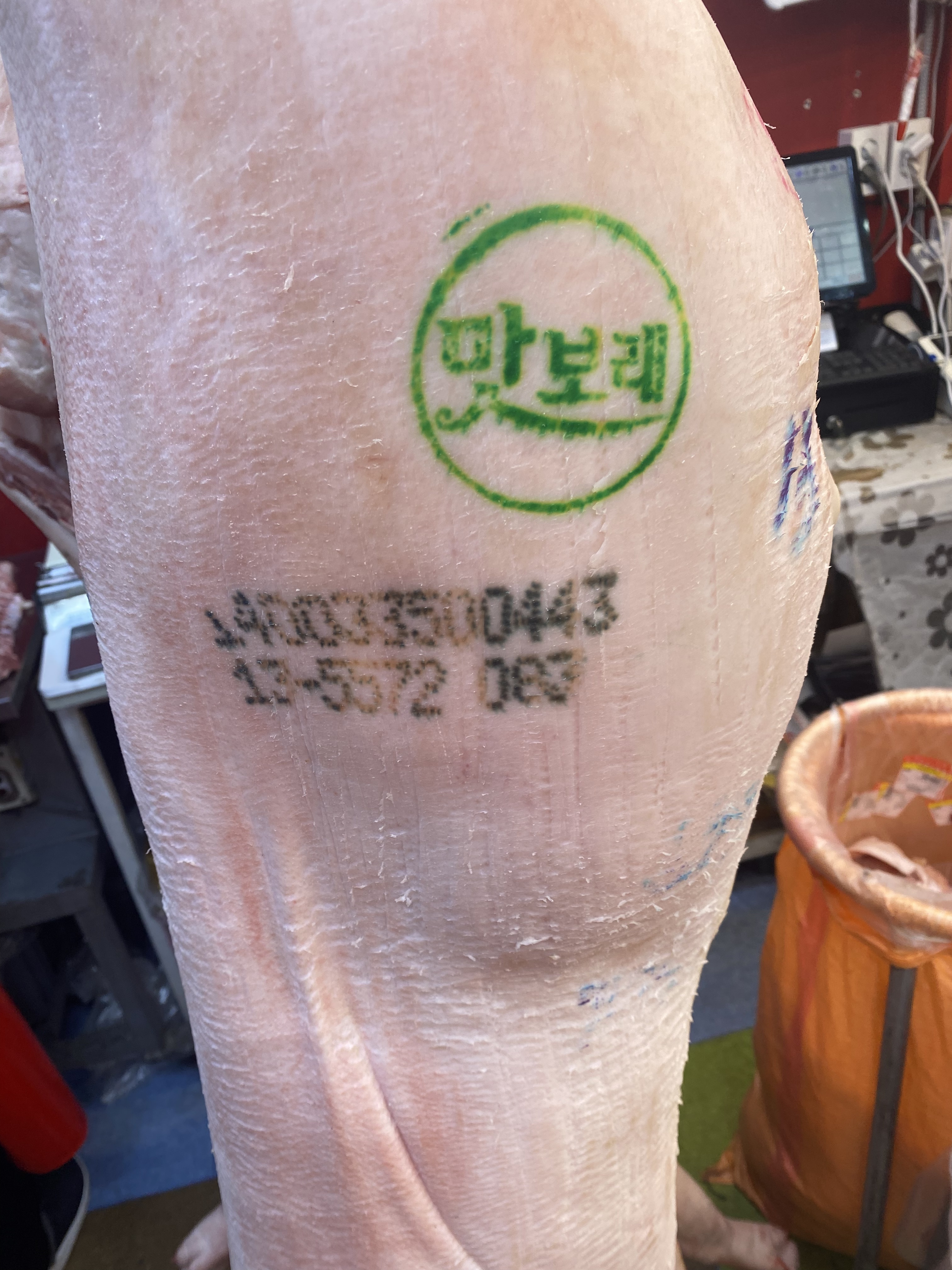 꿀돼지꿀한우
