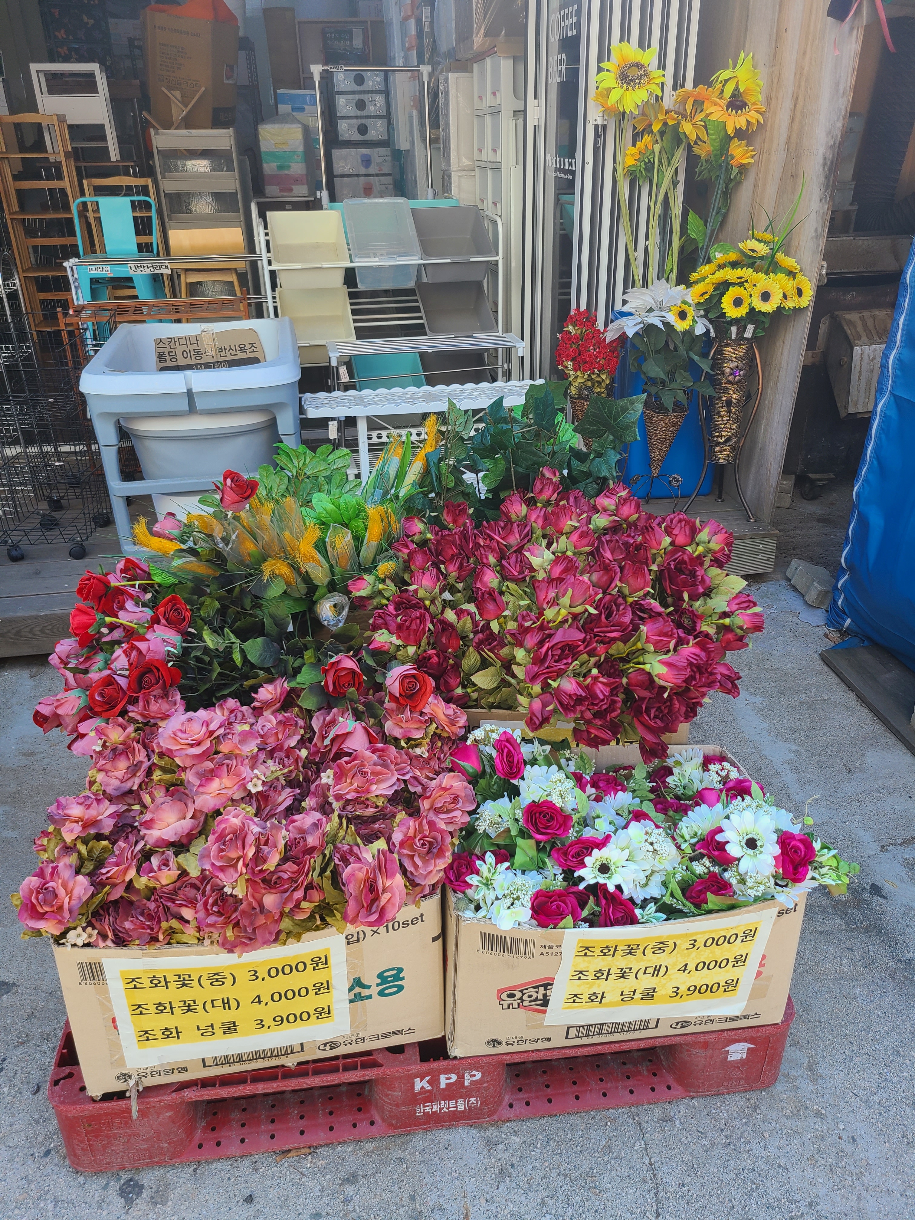 디씨아울렛
