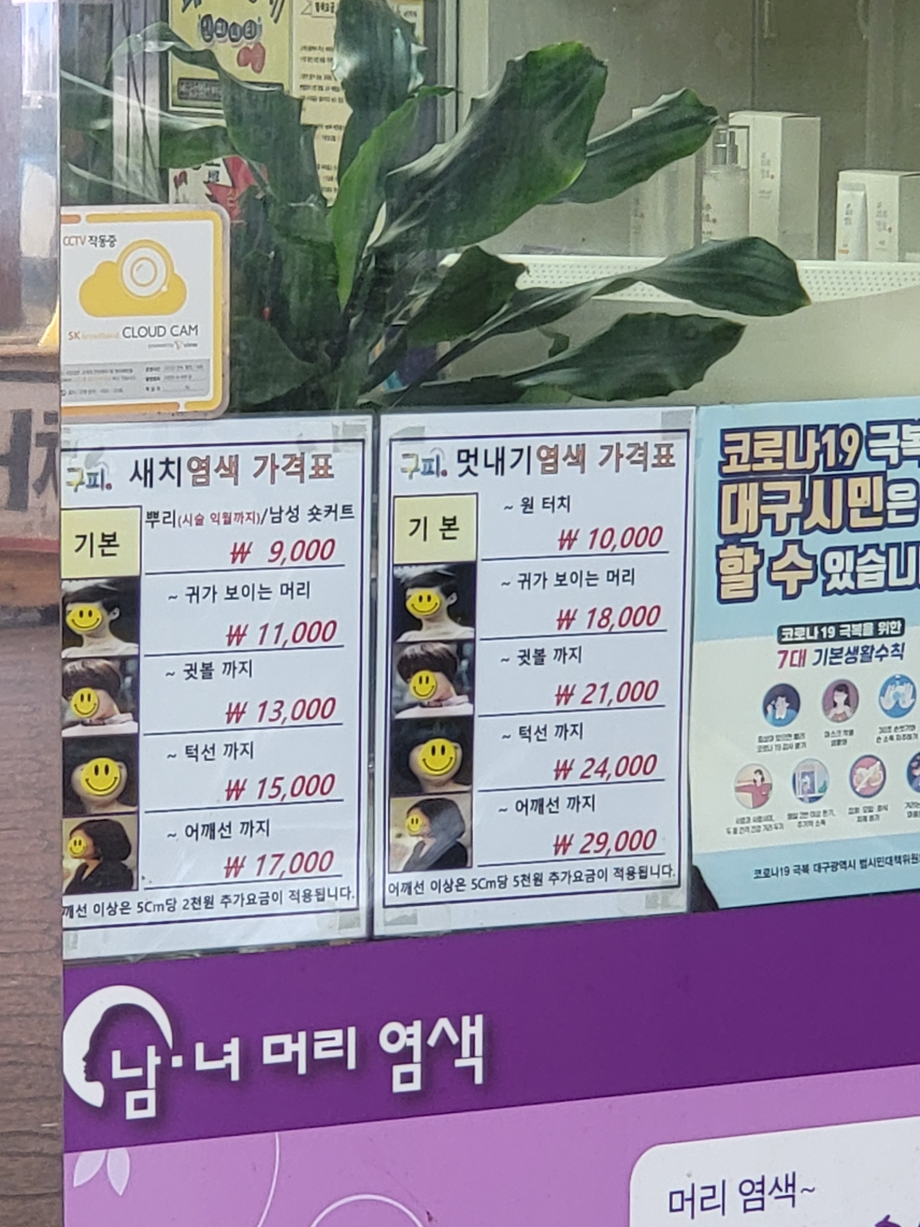 구피샵 신 평리시장점