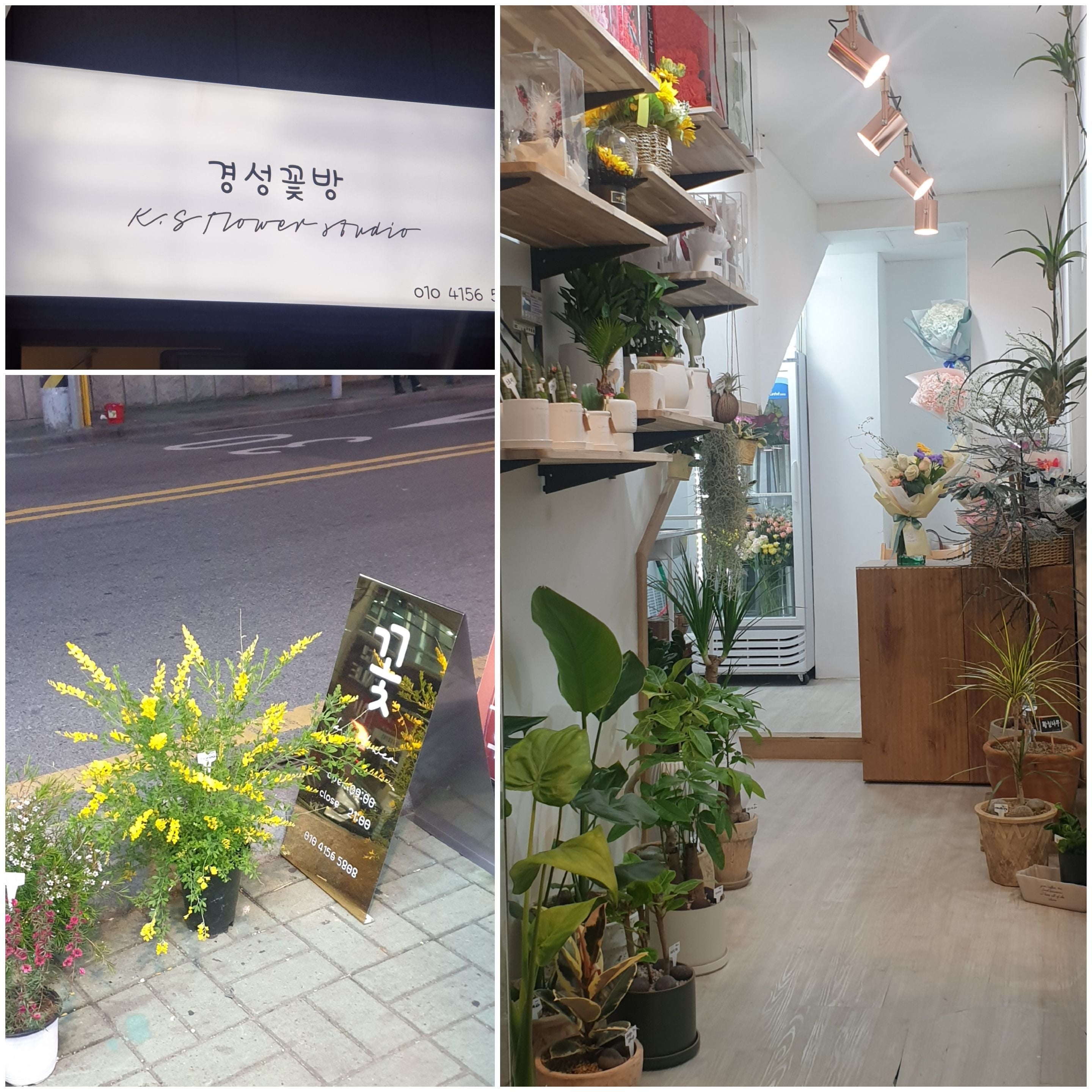 경성꽃방