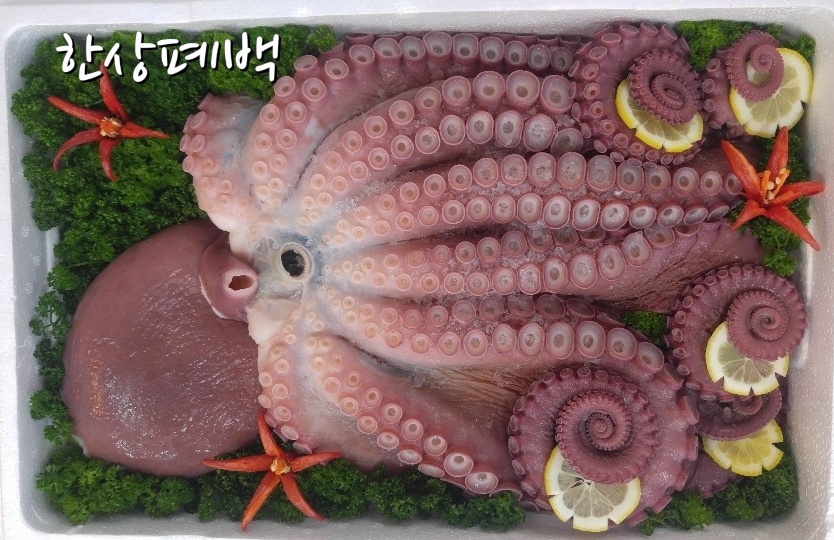한상폐백