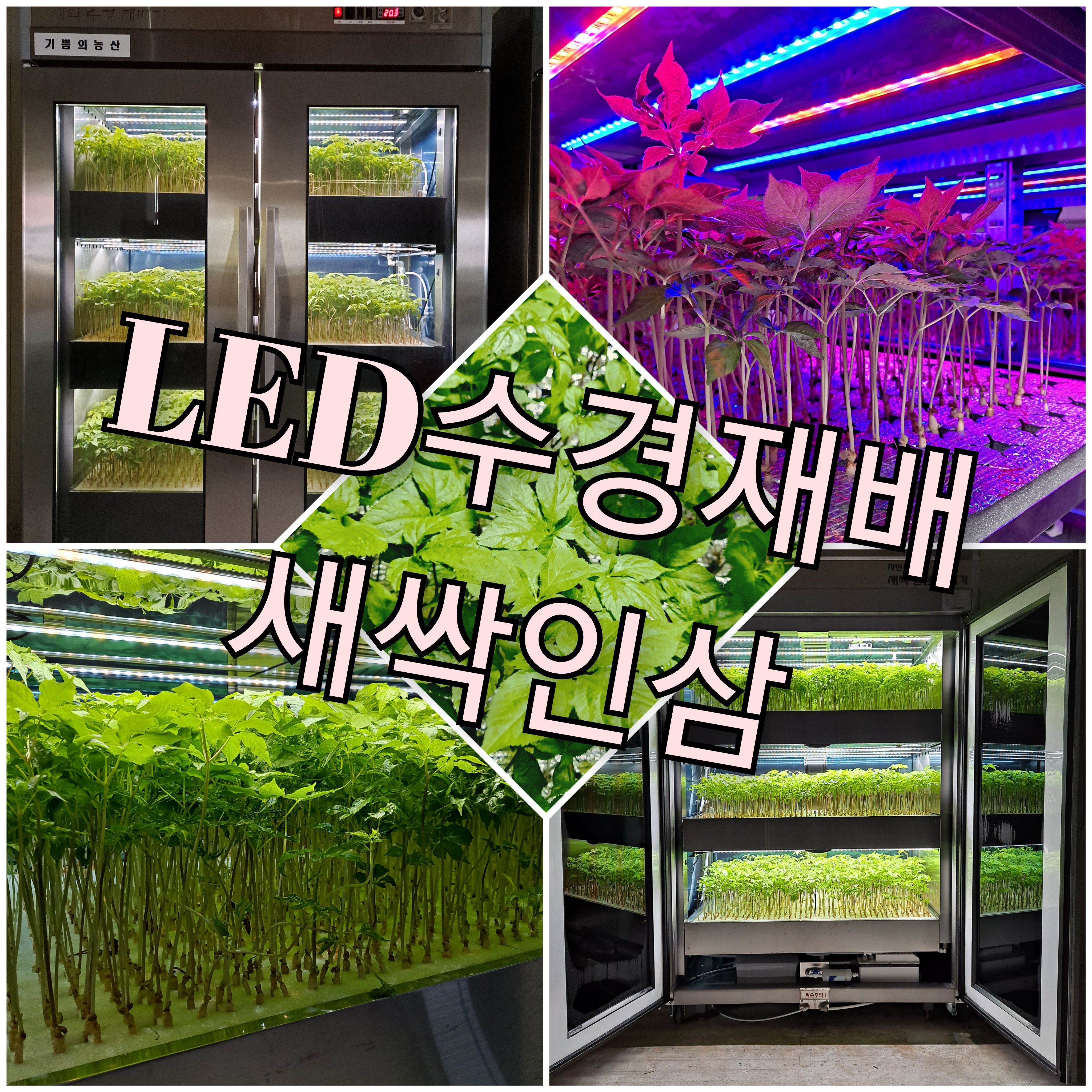 기쁨의농산