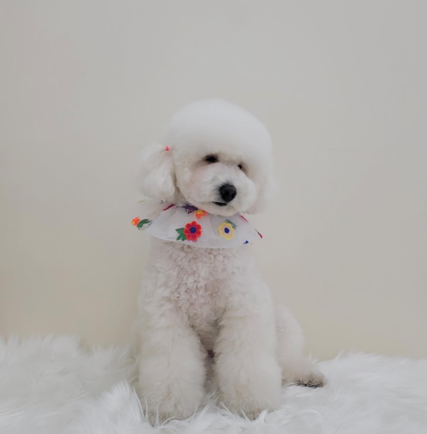 다미살롱 대표 이미지