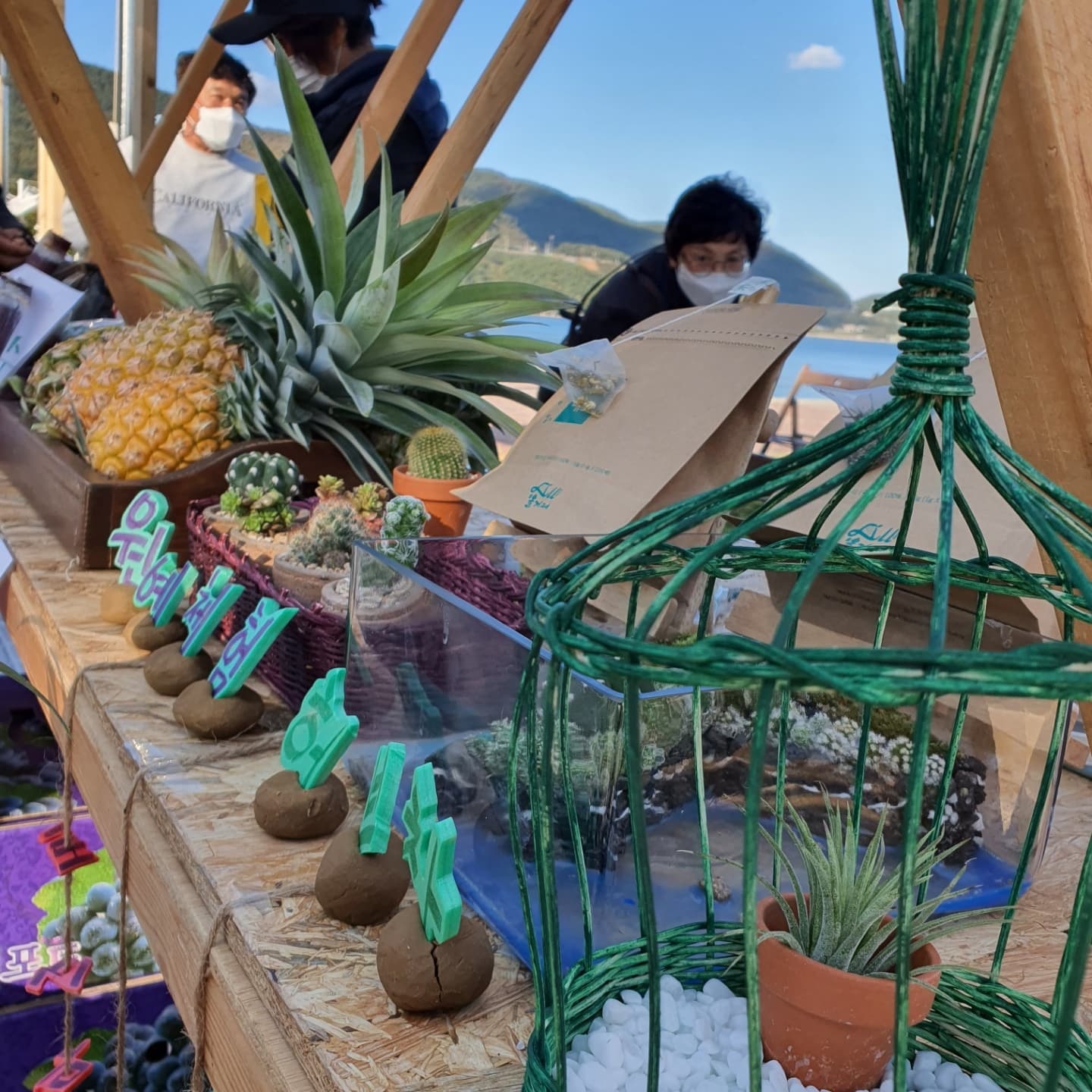 꿈의대화농장