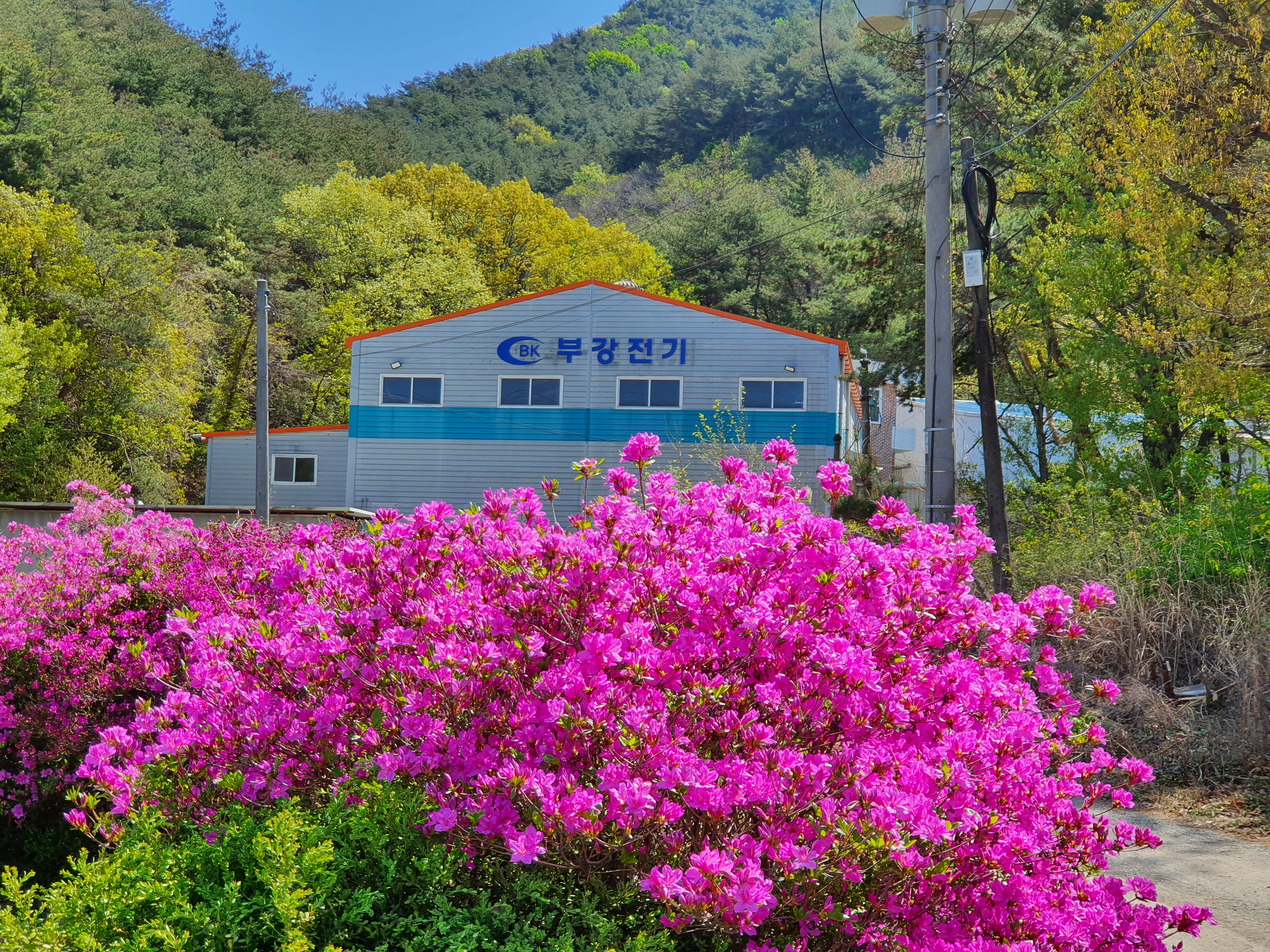 부강전기