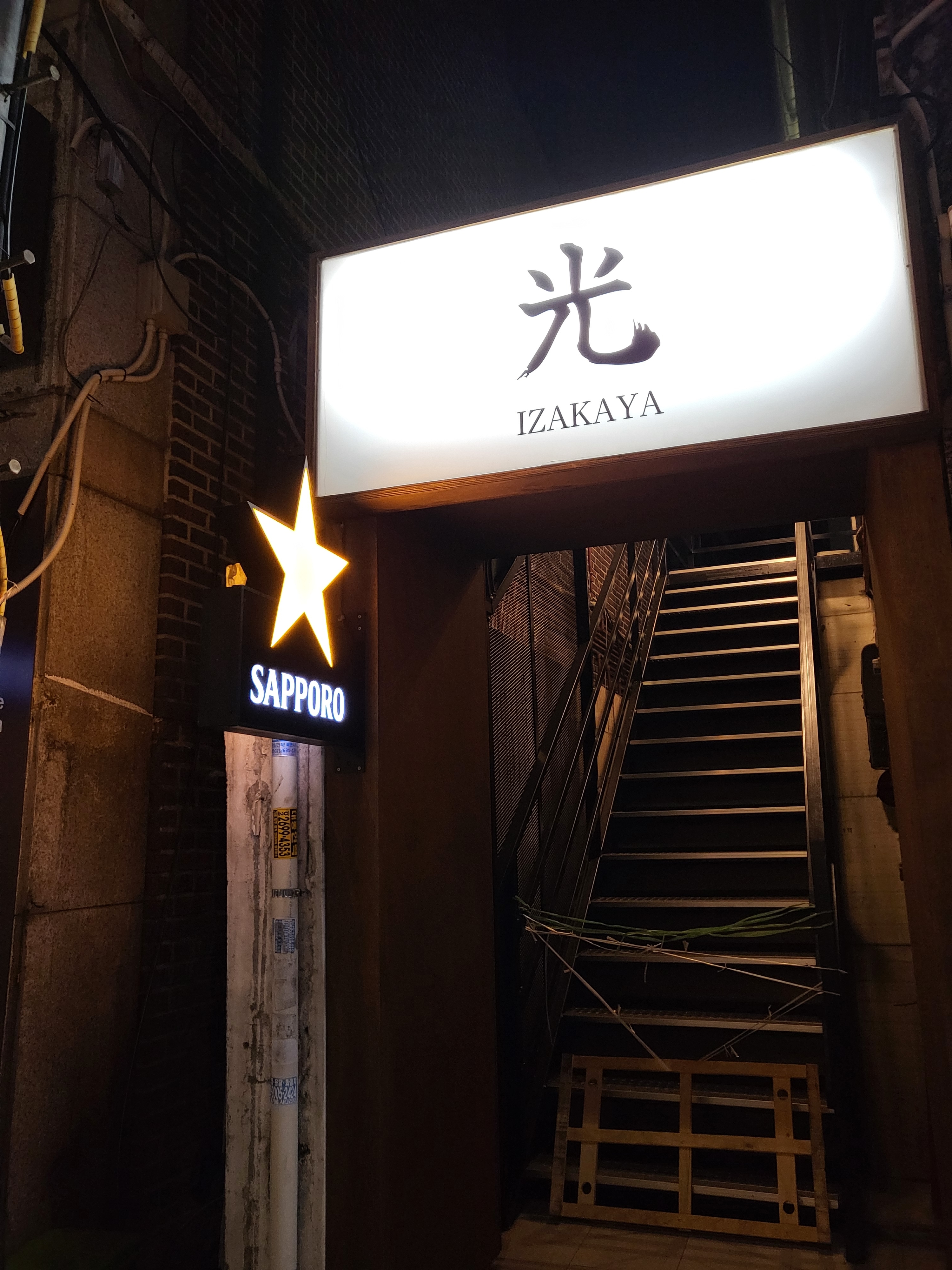 광참치