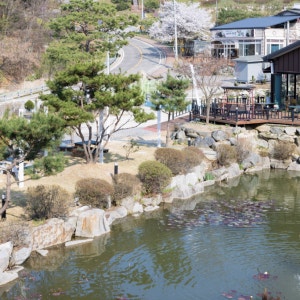 달사랑 캠핑장