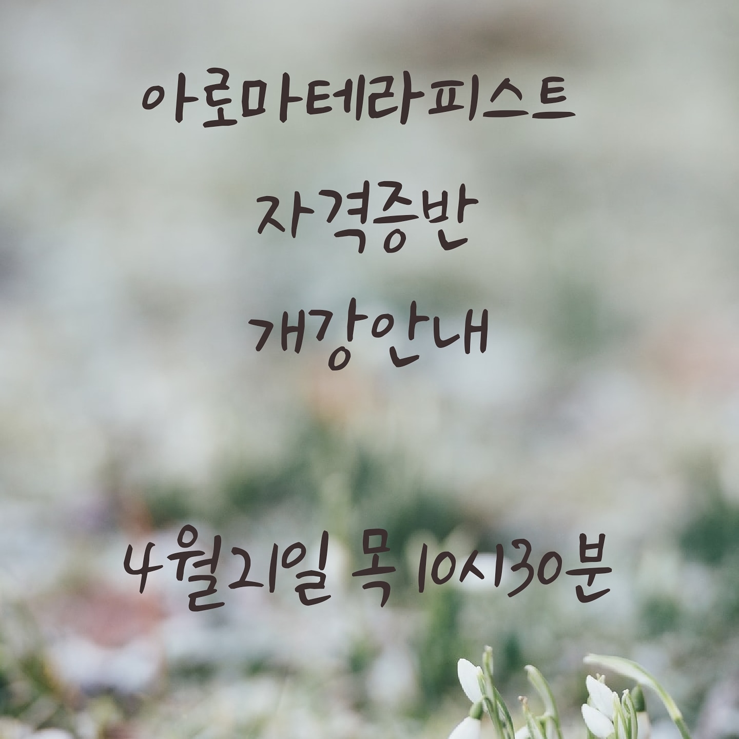 샬롬아로마