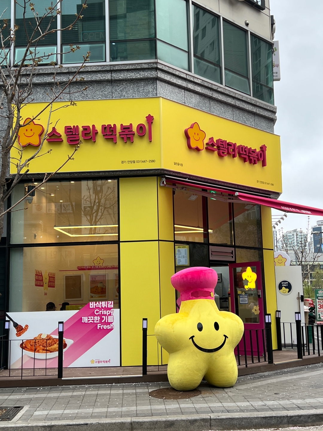 스텔라떡볶이 경기안양점