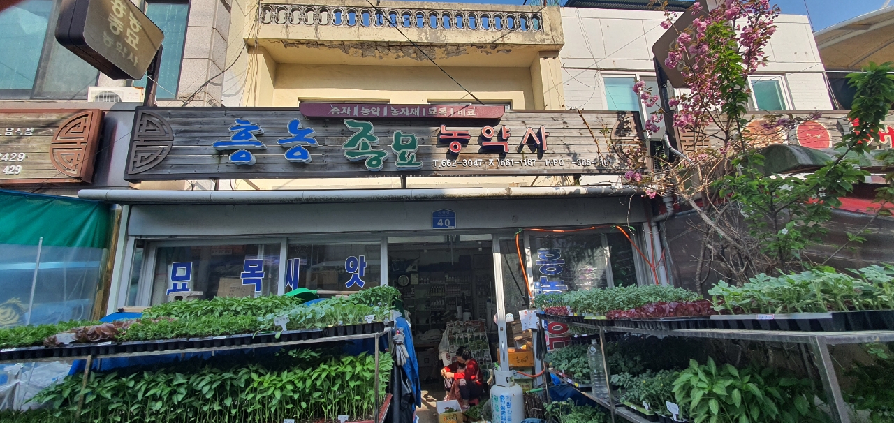 흥농종묘농약사