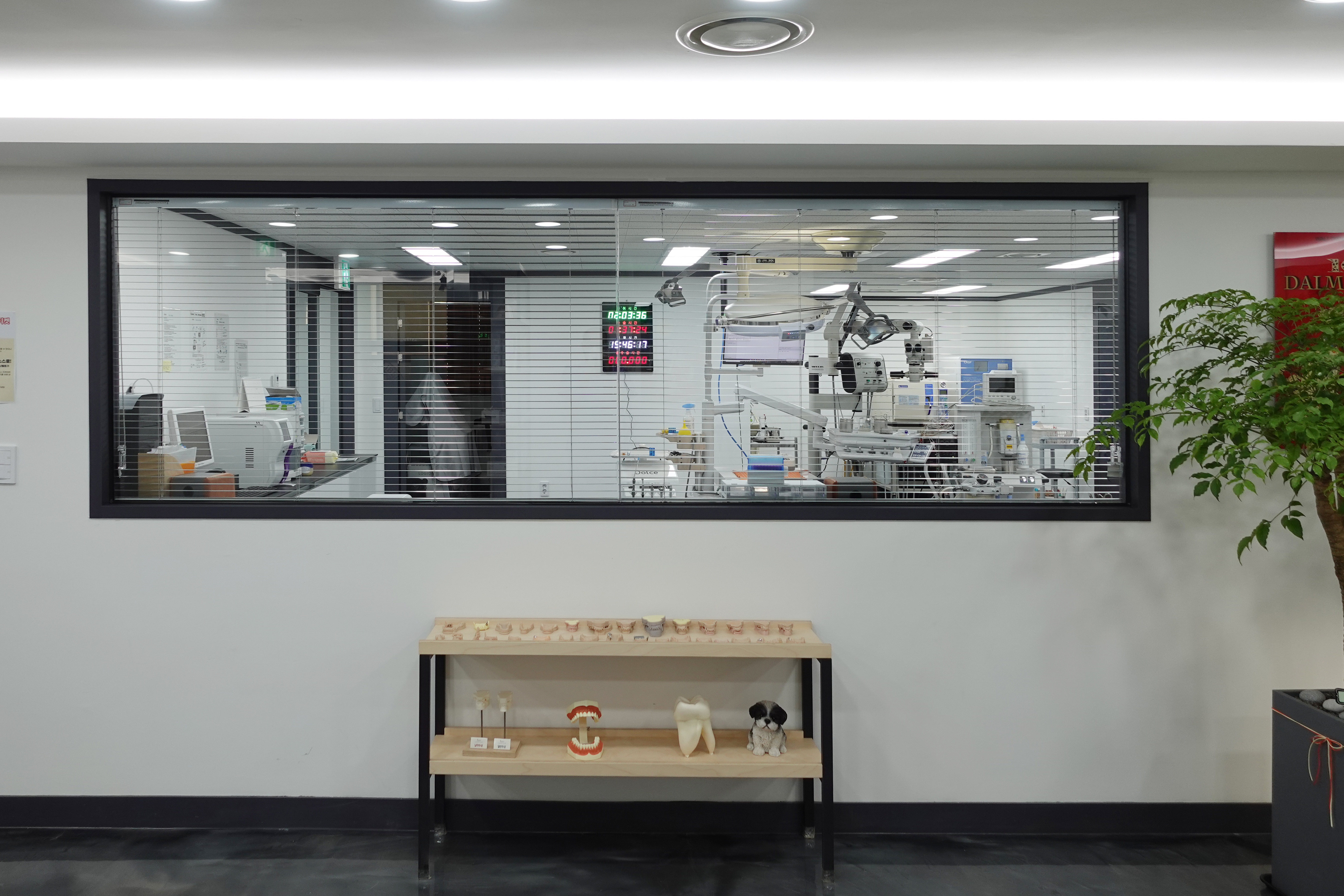 베를린동물치과센터 대표 이미지